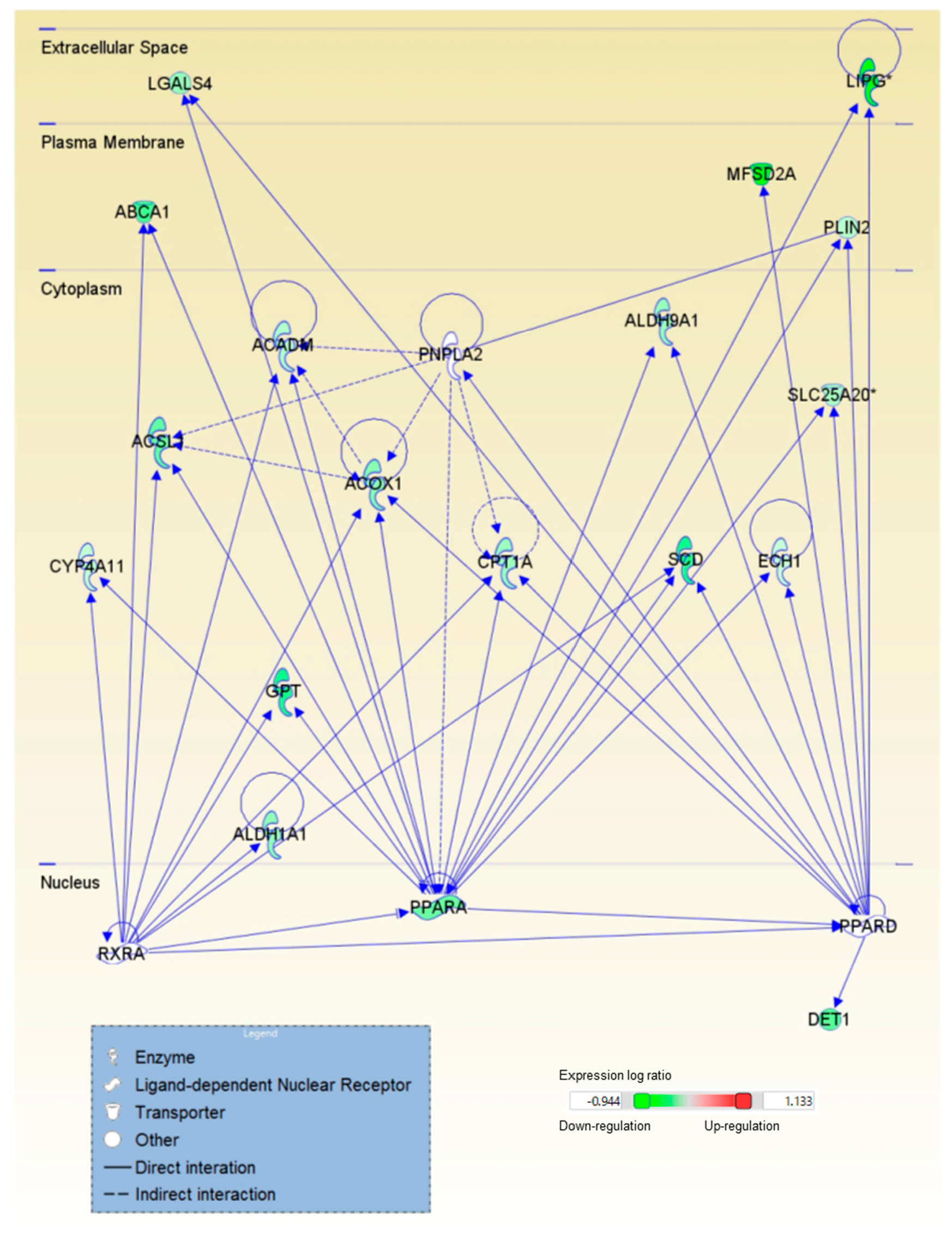 Ijms 18 00593 g005 550