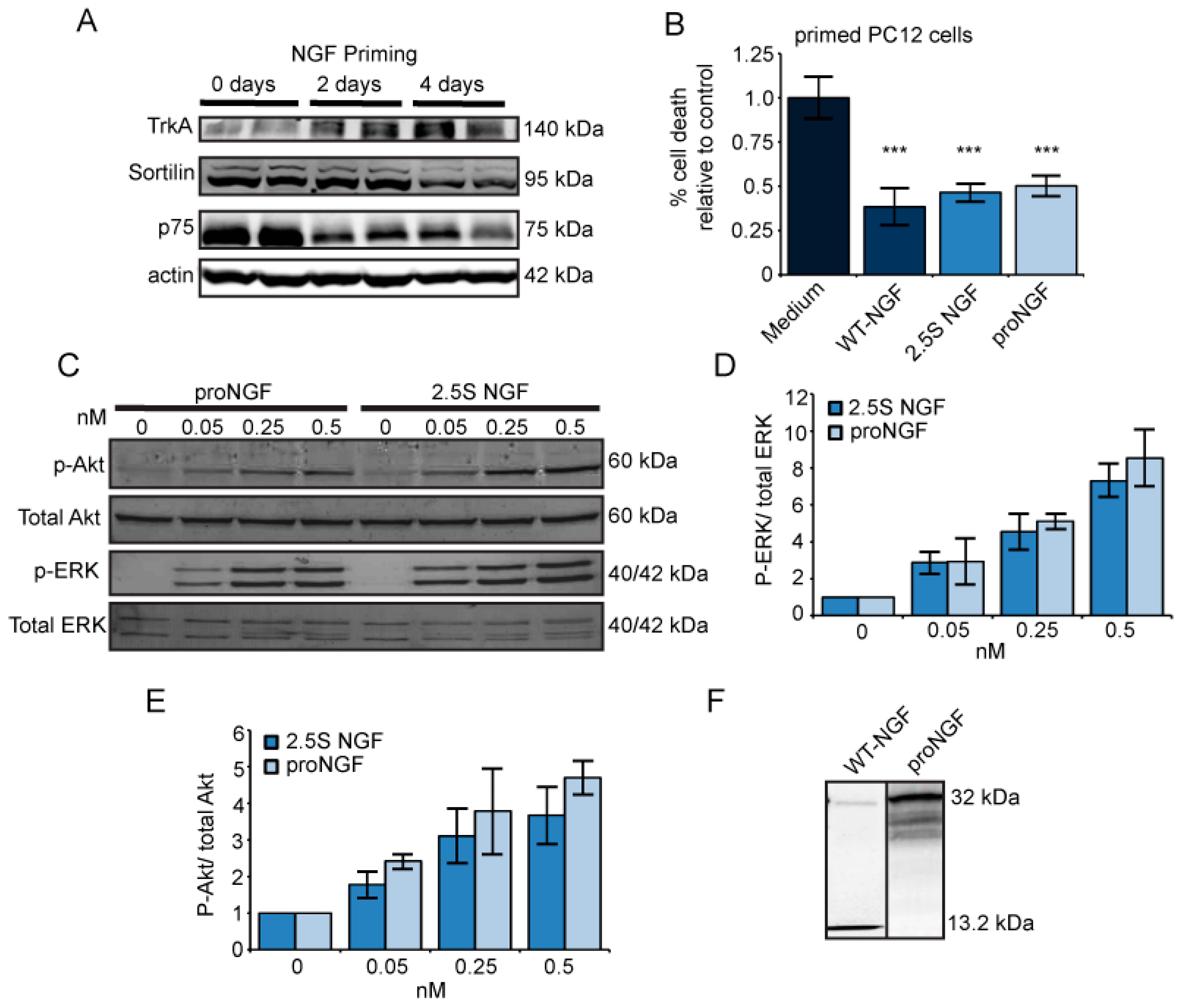 Ijms 18 00599 g001 550
