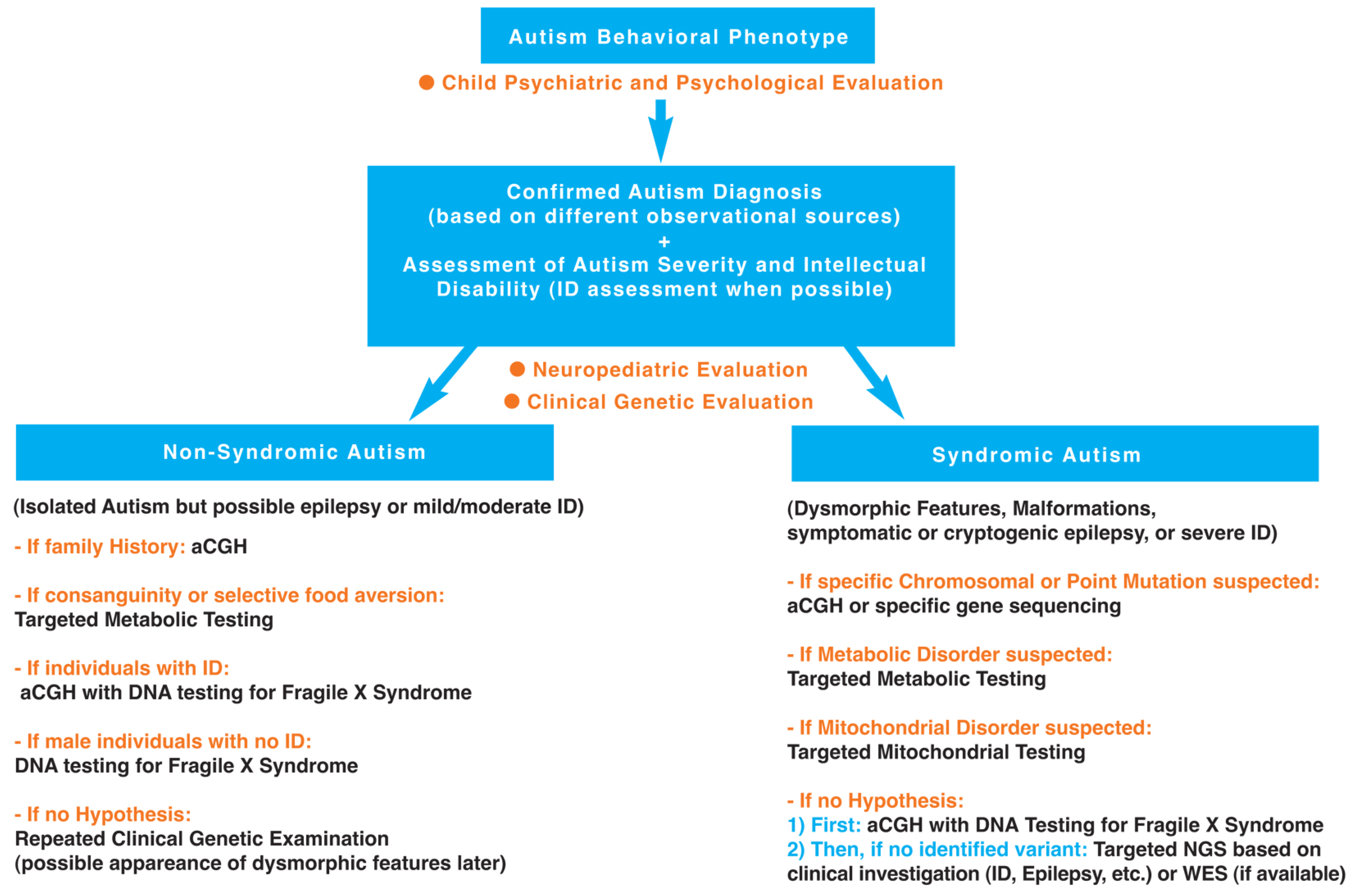 Ijms Free Full Text Role Of Genetics In The Etiology Of Autistic Spectrum Disorder Towards A Hierarchical Diagnostic Strategy Html