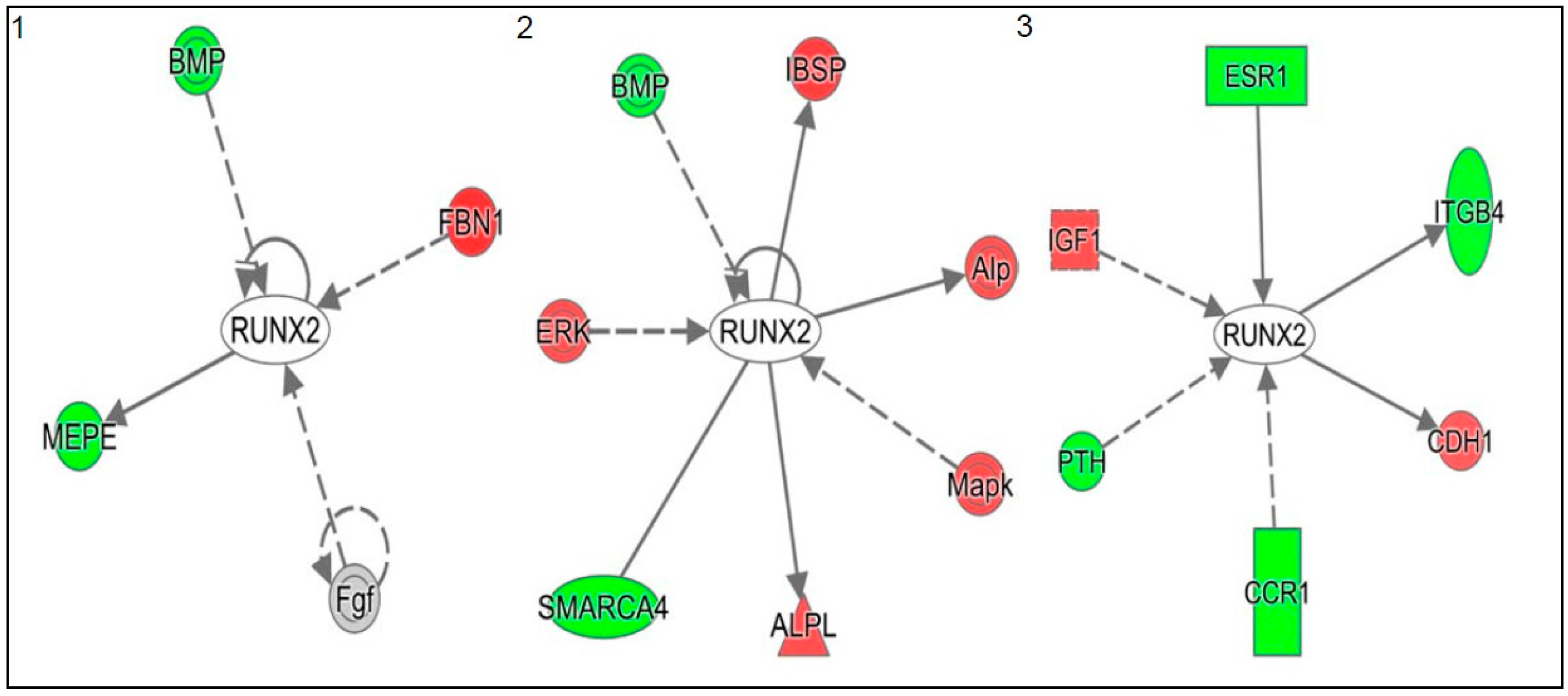 Ijms 18 00642 g003 550