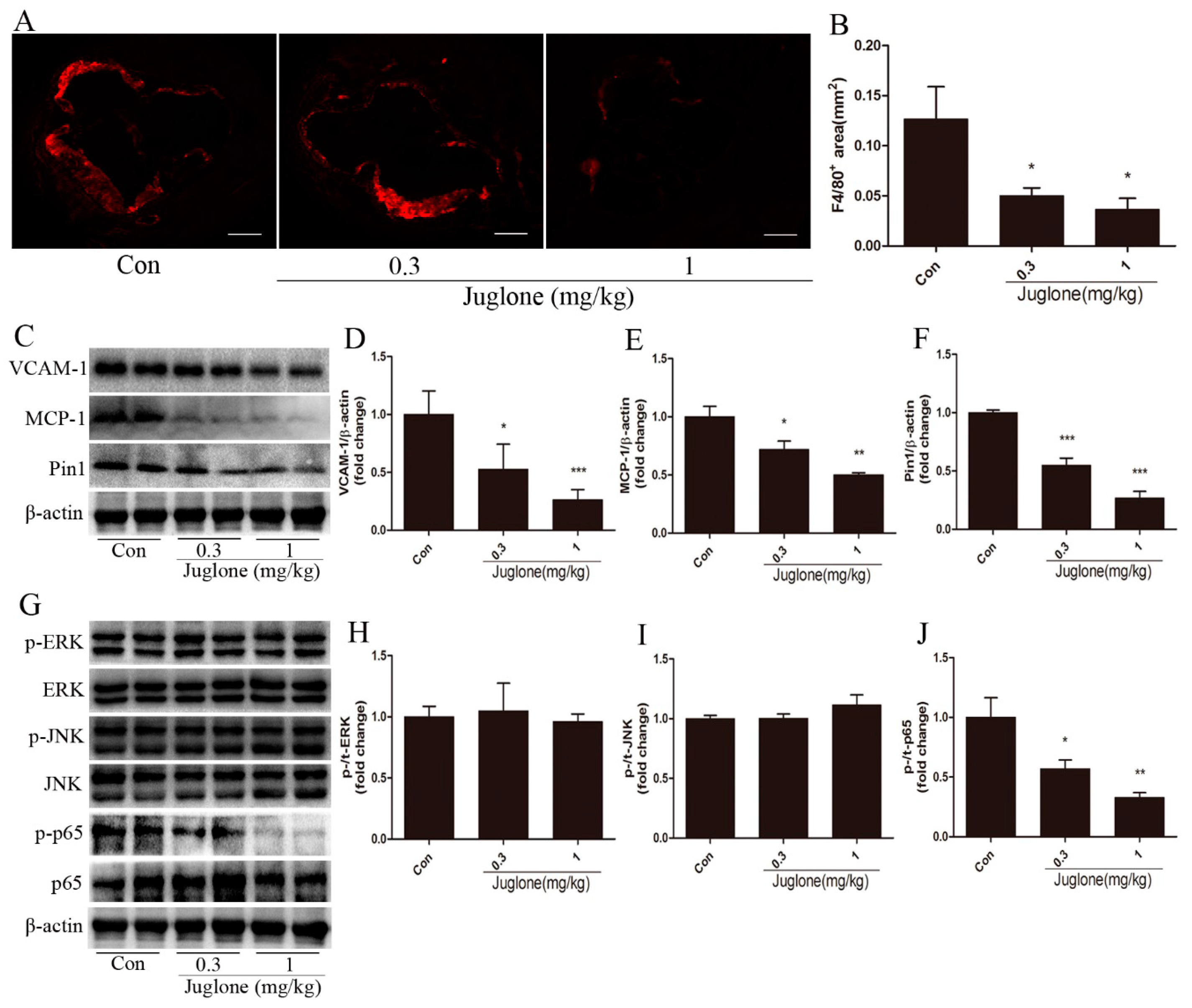 Ijms 18 00644 g002 550