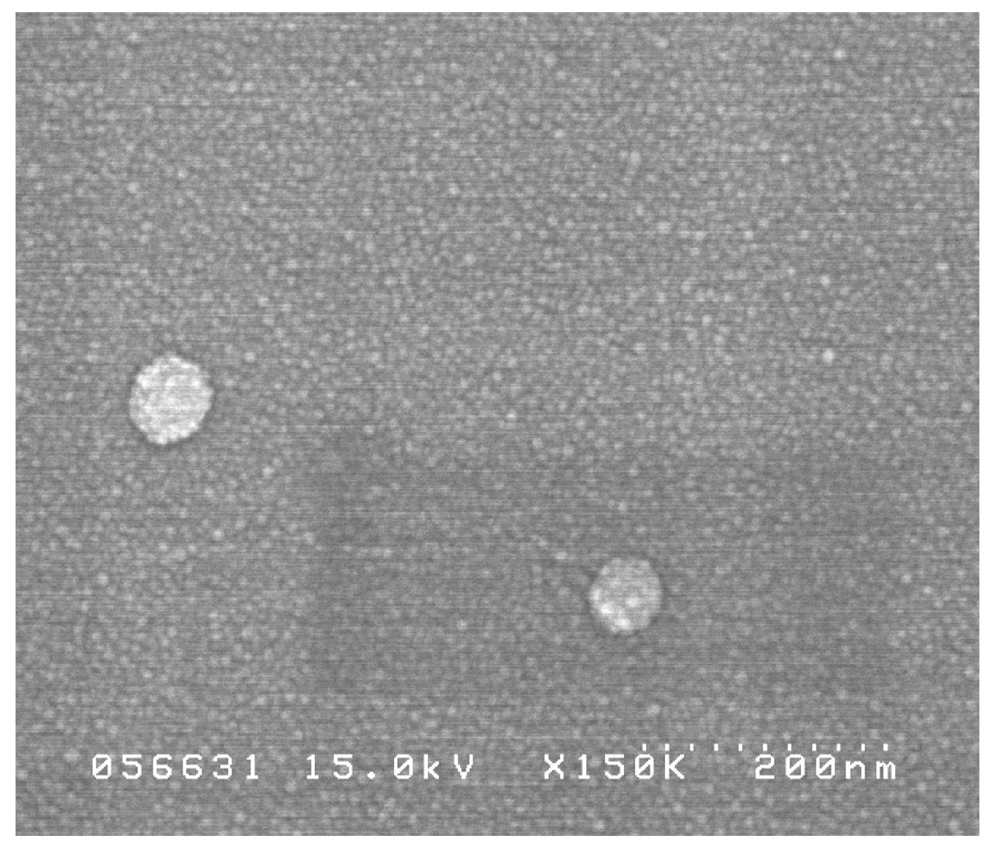 Ijms 18 00663 g001