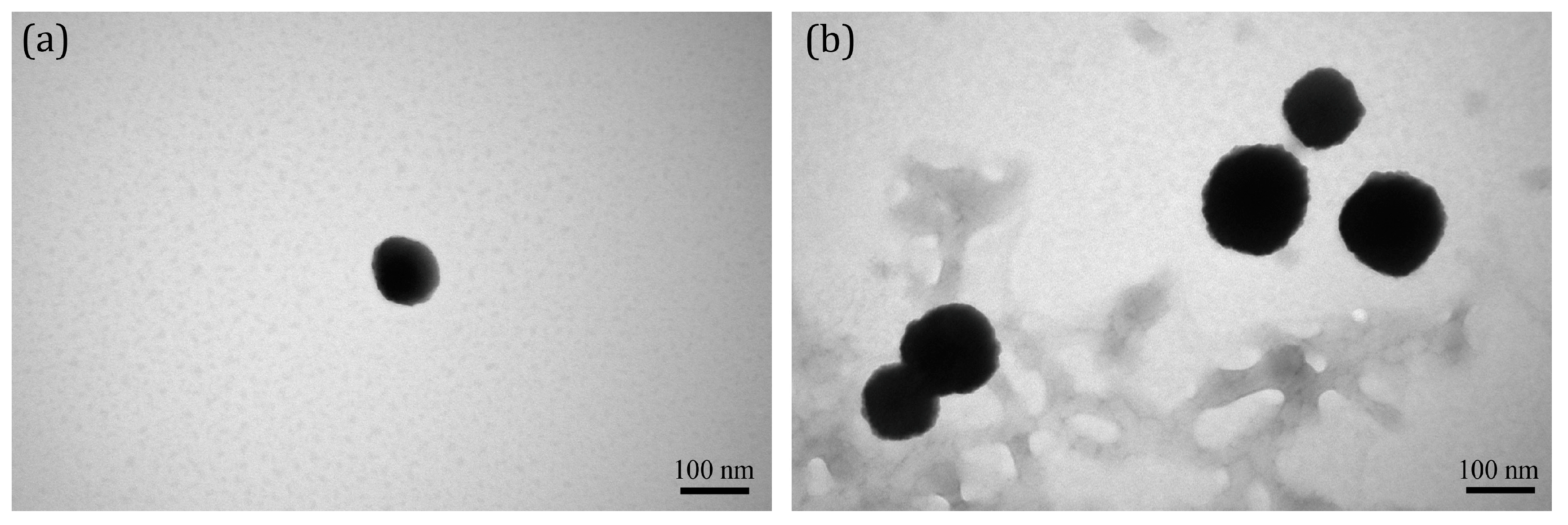 Ijms 18 00663 g002