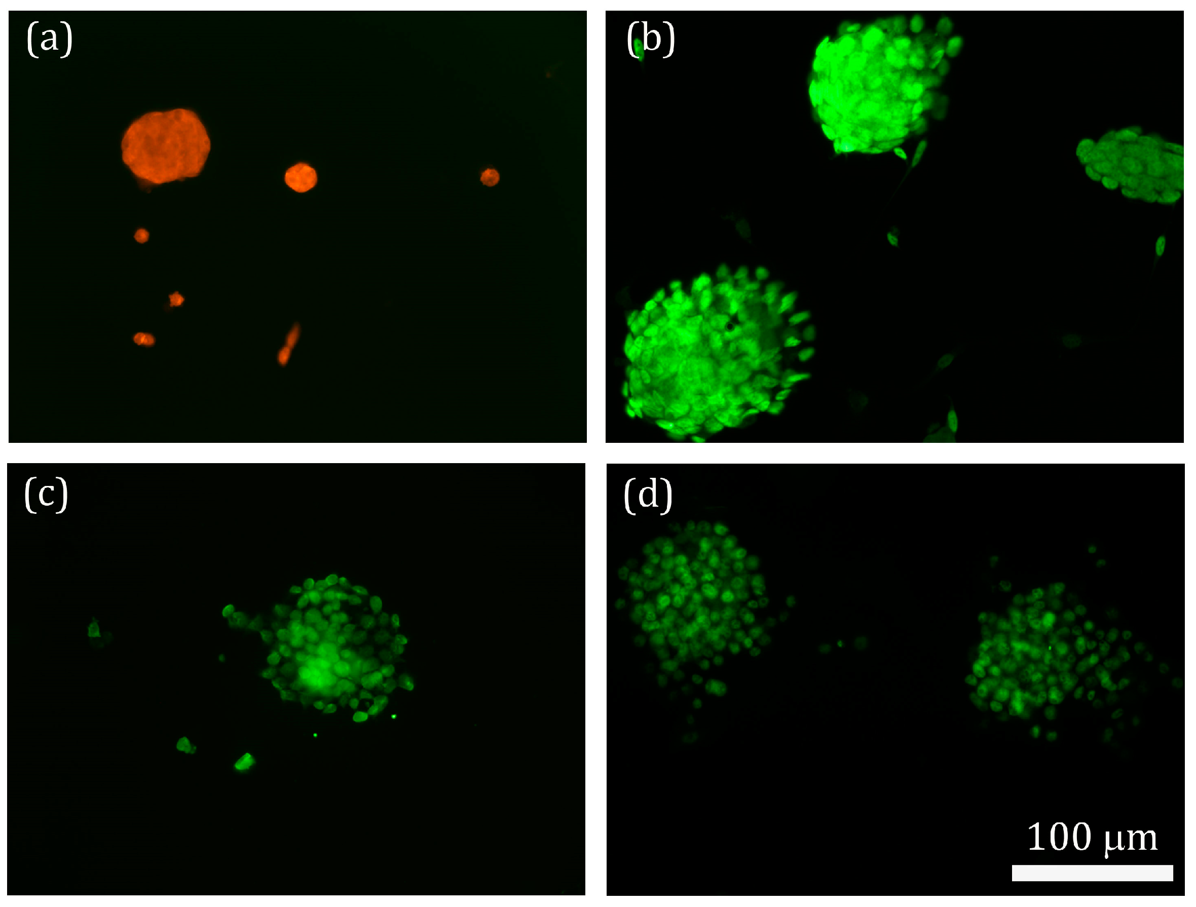 Ijms 18 00663 g005