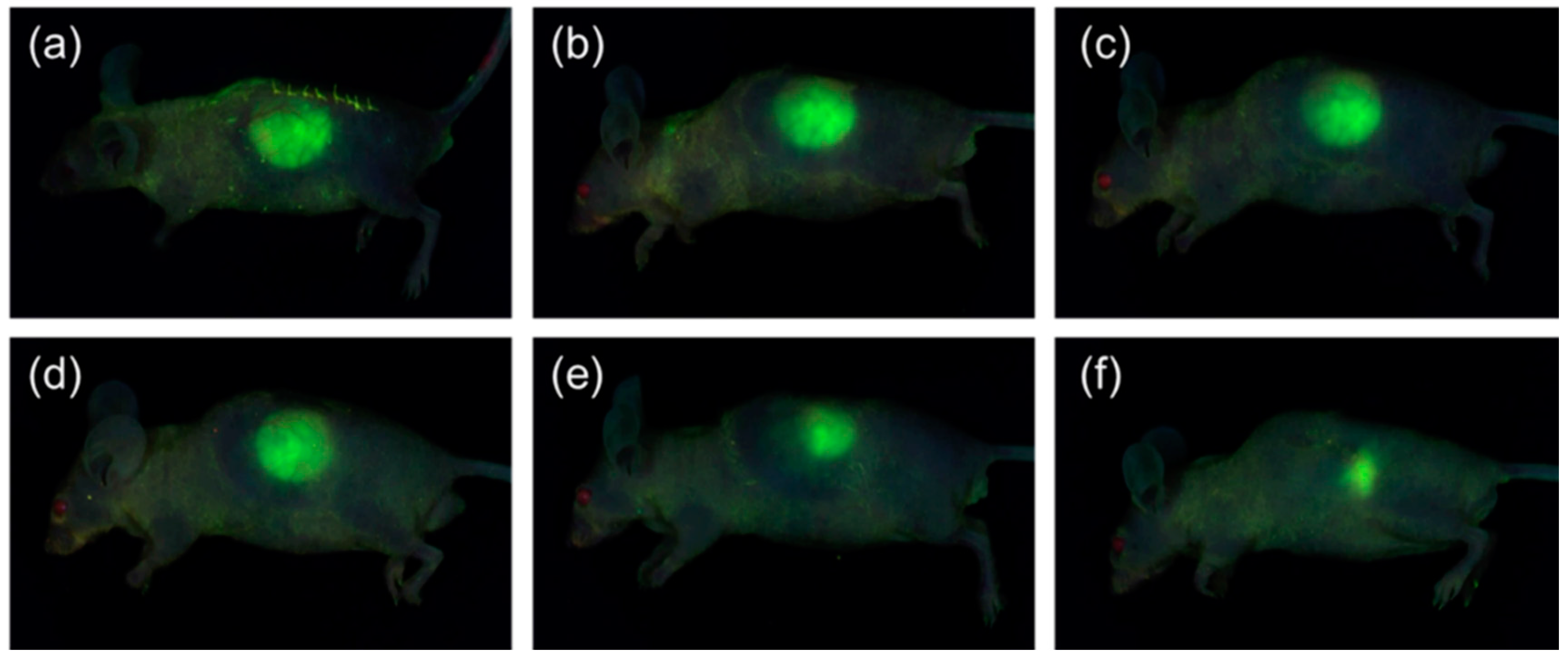 Ijms 18 00671 g007 550