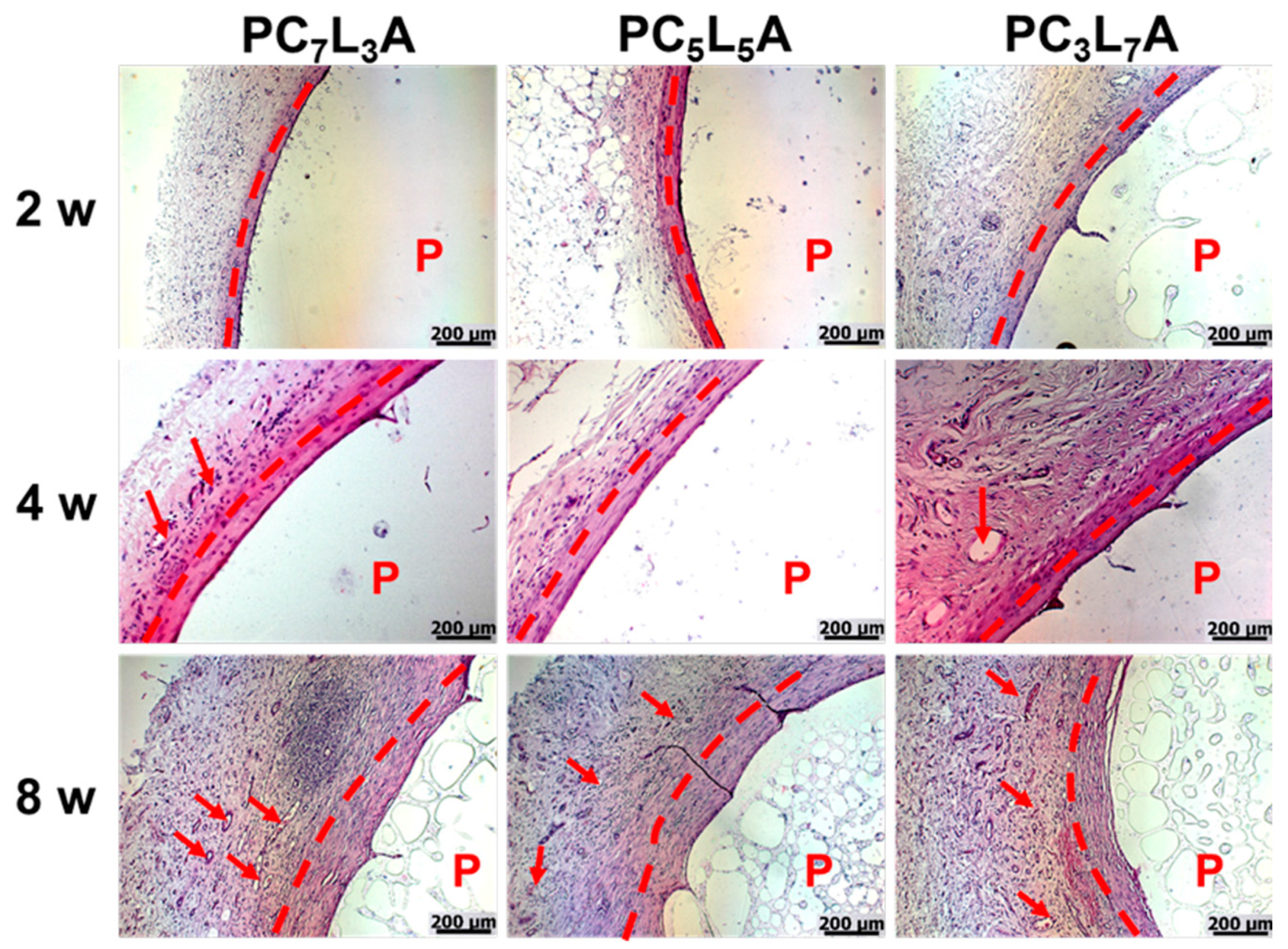 Ijms 18 00671 g008 550