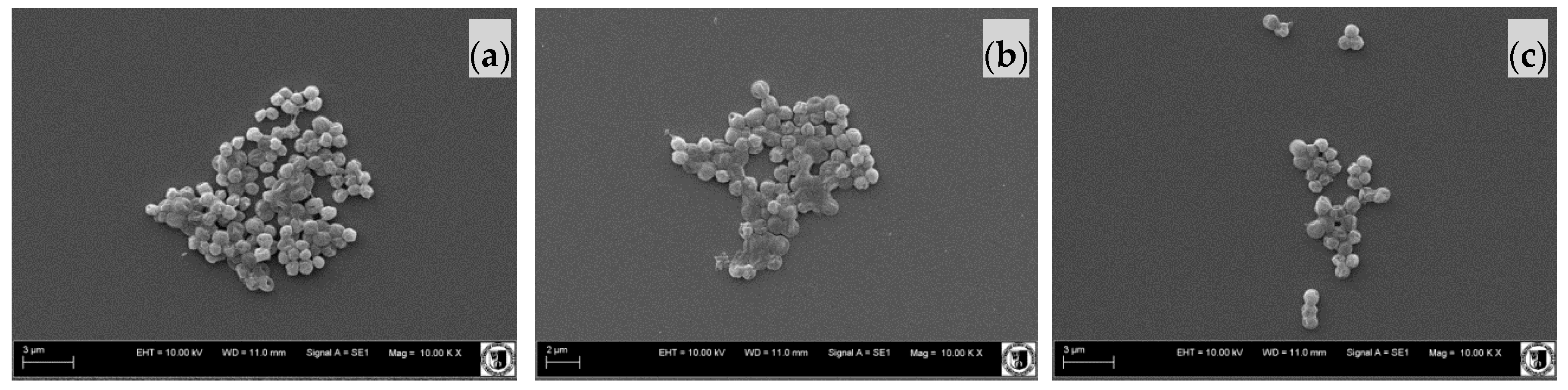 Ijms 18 00678 g003 550