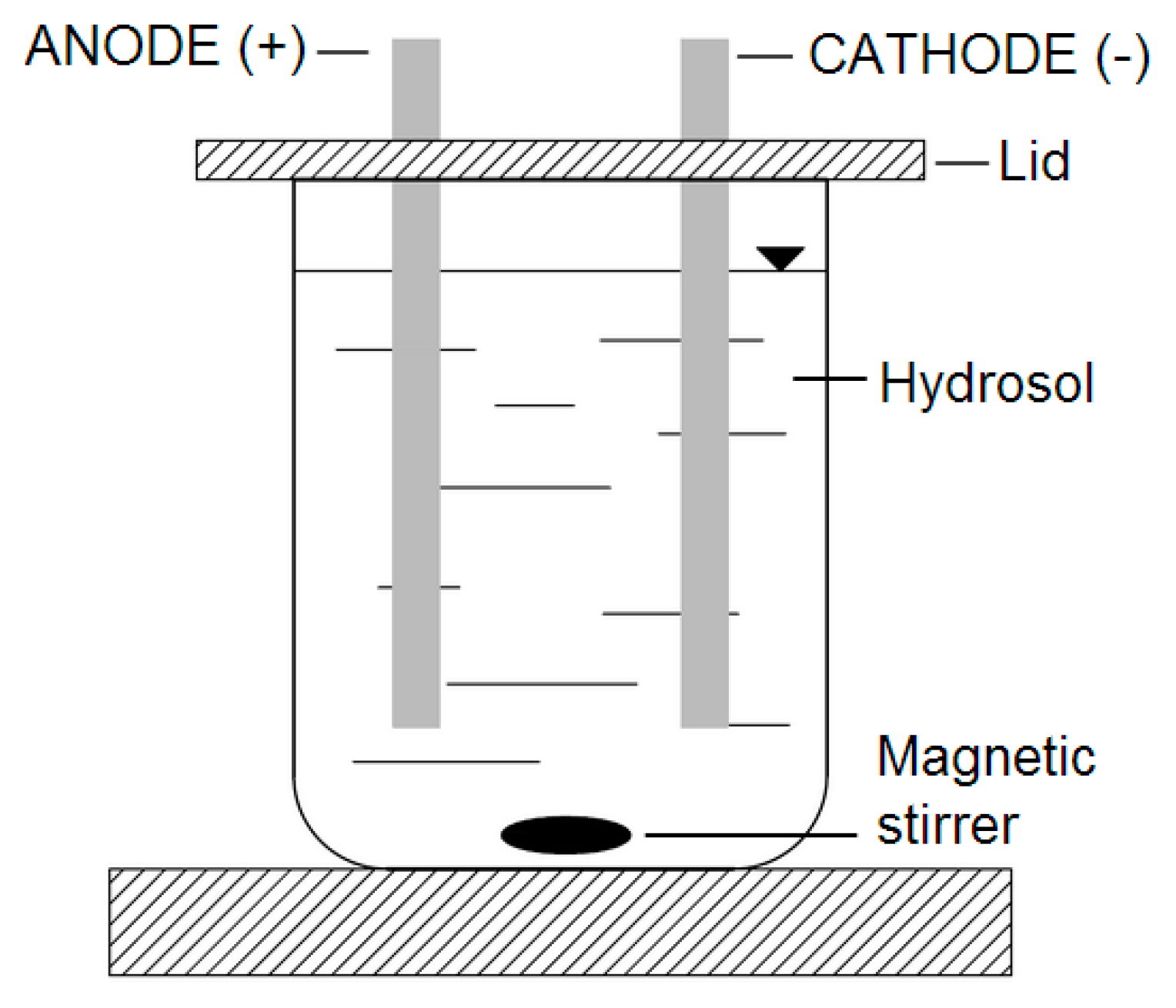 Ijms 18 00678 g009 550