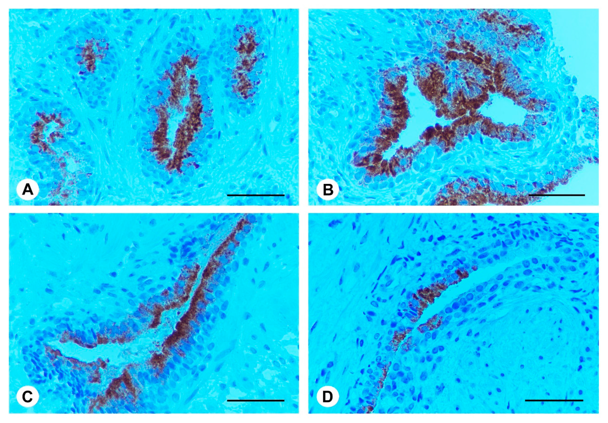 Ijms 18 00680 g003