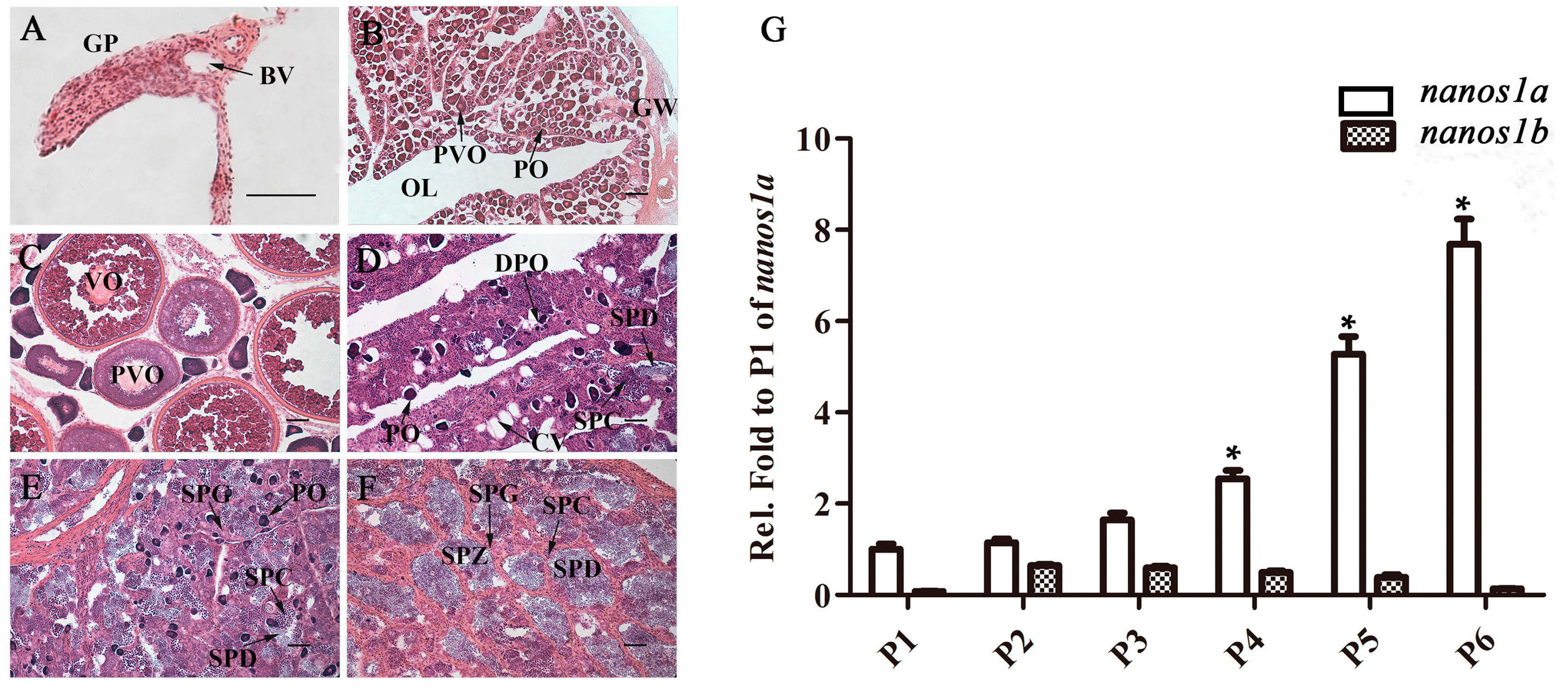 Ijms 18 00685 g003 550