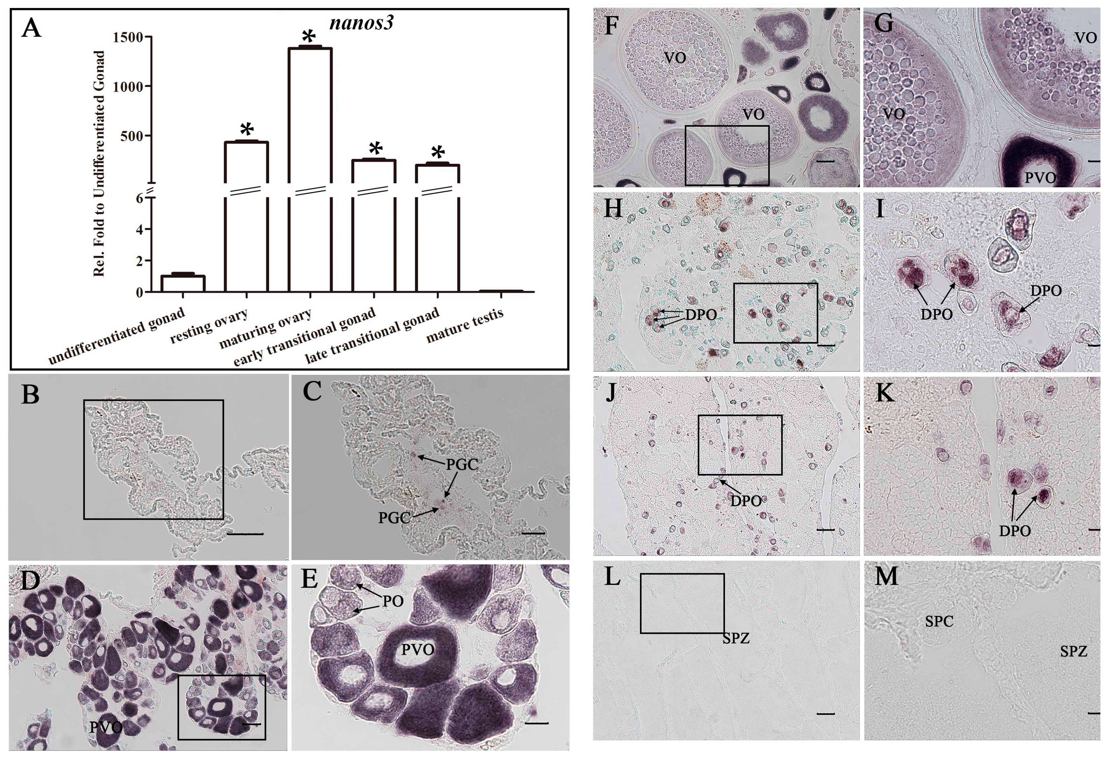 Ijms 18 00685 g006 550