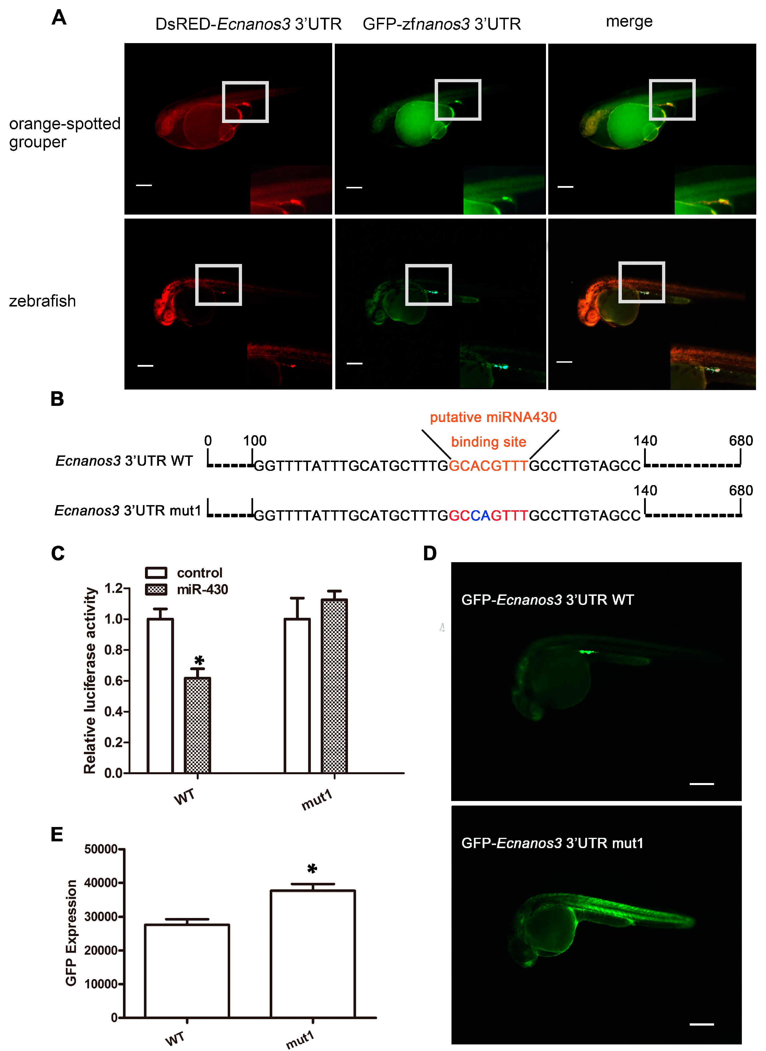 Ijms 18 00685 g007 550