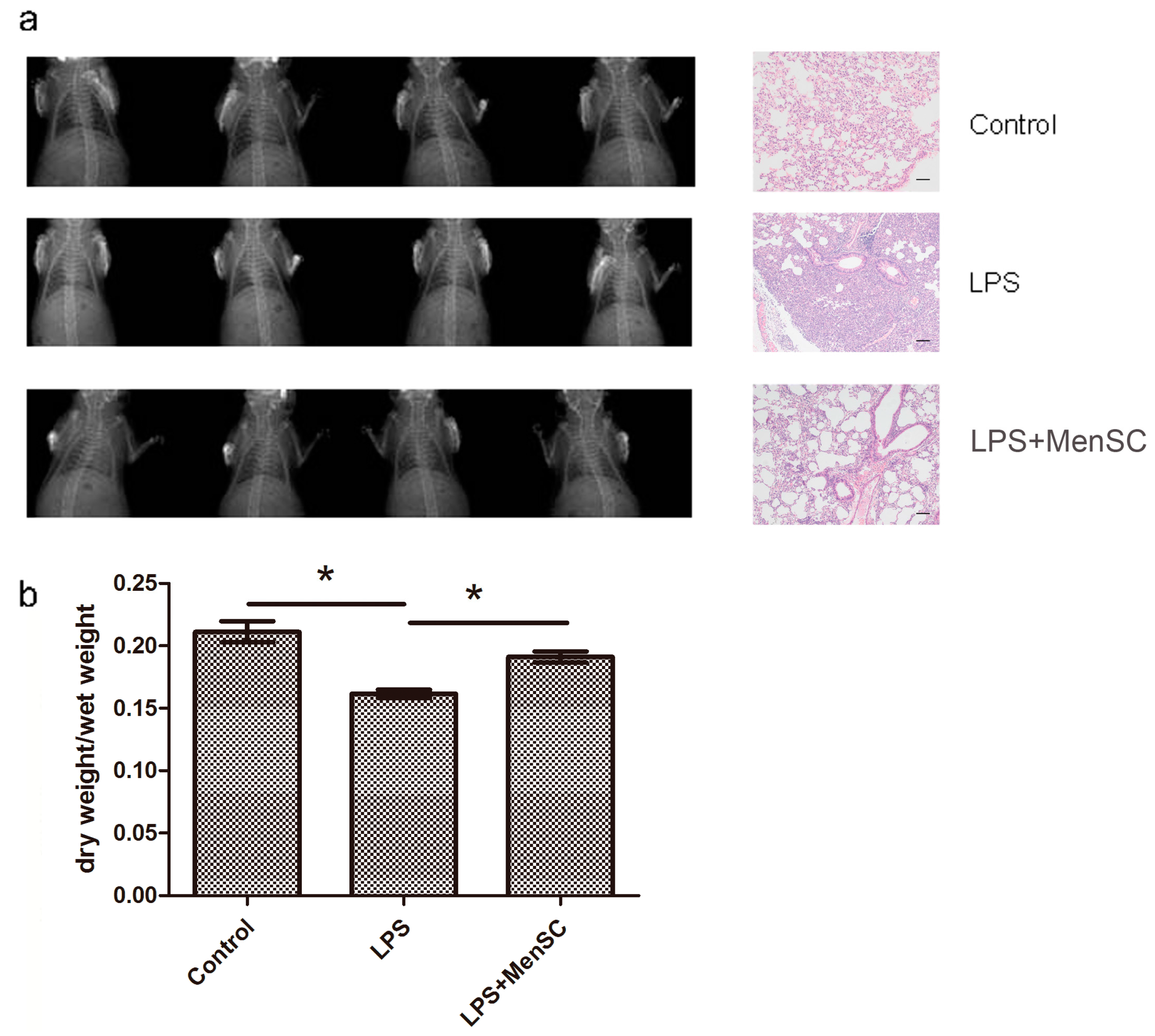 Ijms 18 00689 g005 550