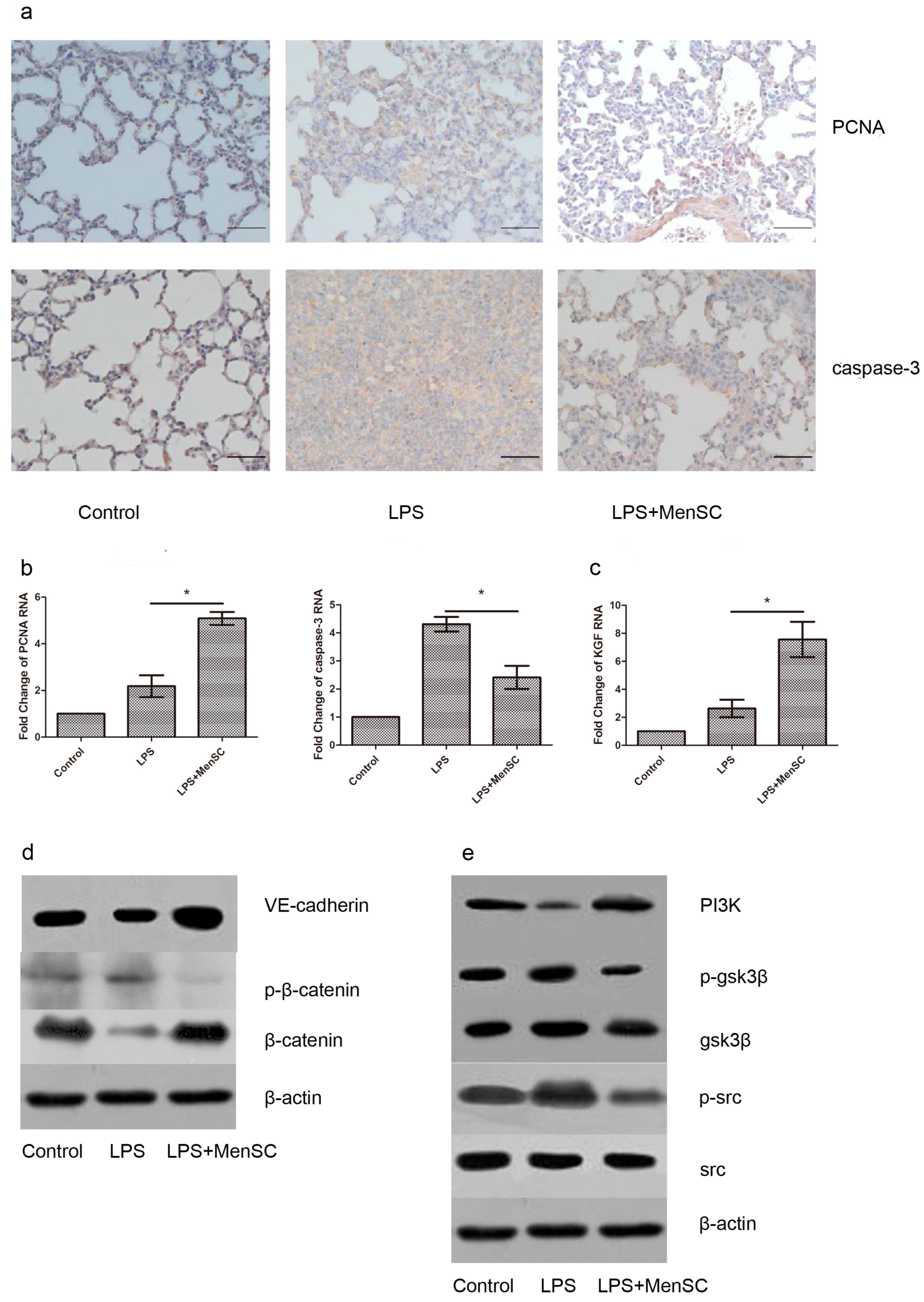 Ijms 18 00689 g007 550