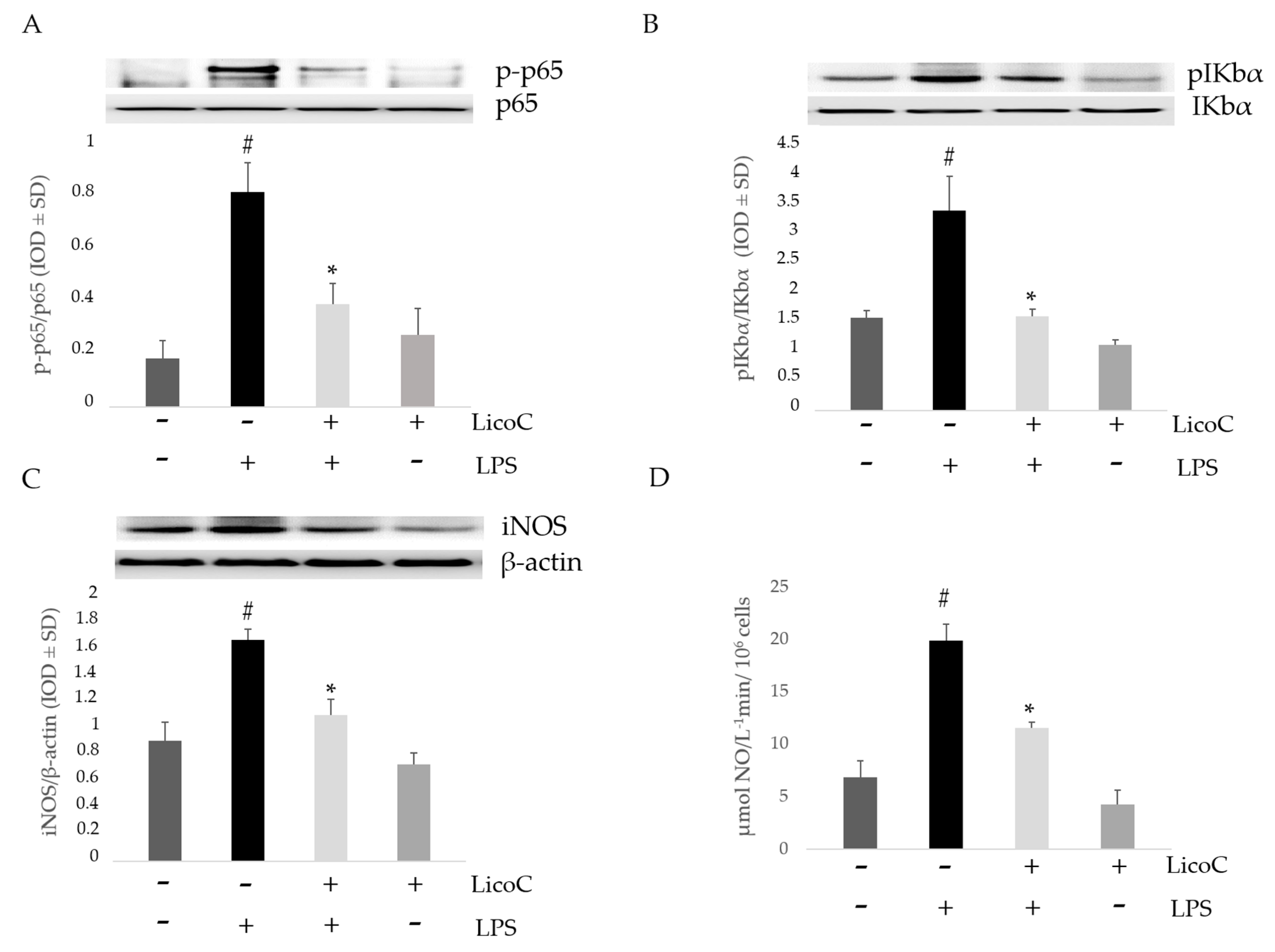 Ijms 18 00690 g002 550