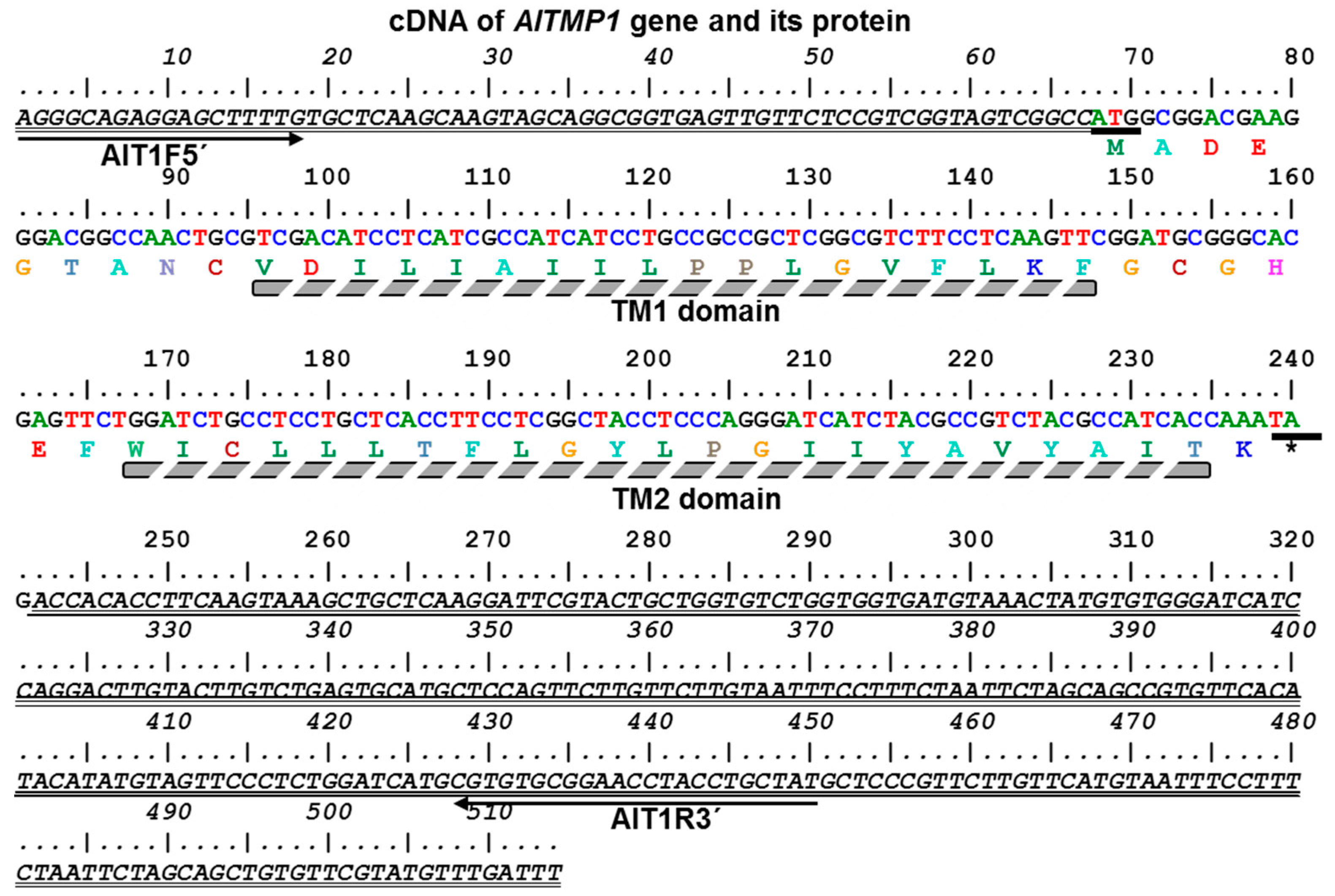 Ijms 18 00692 g001 550