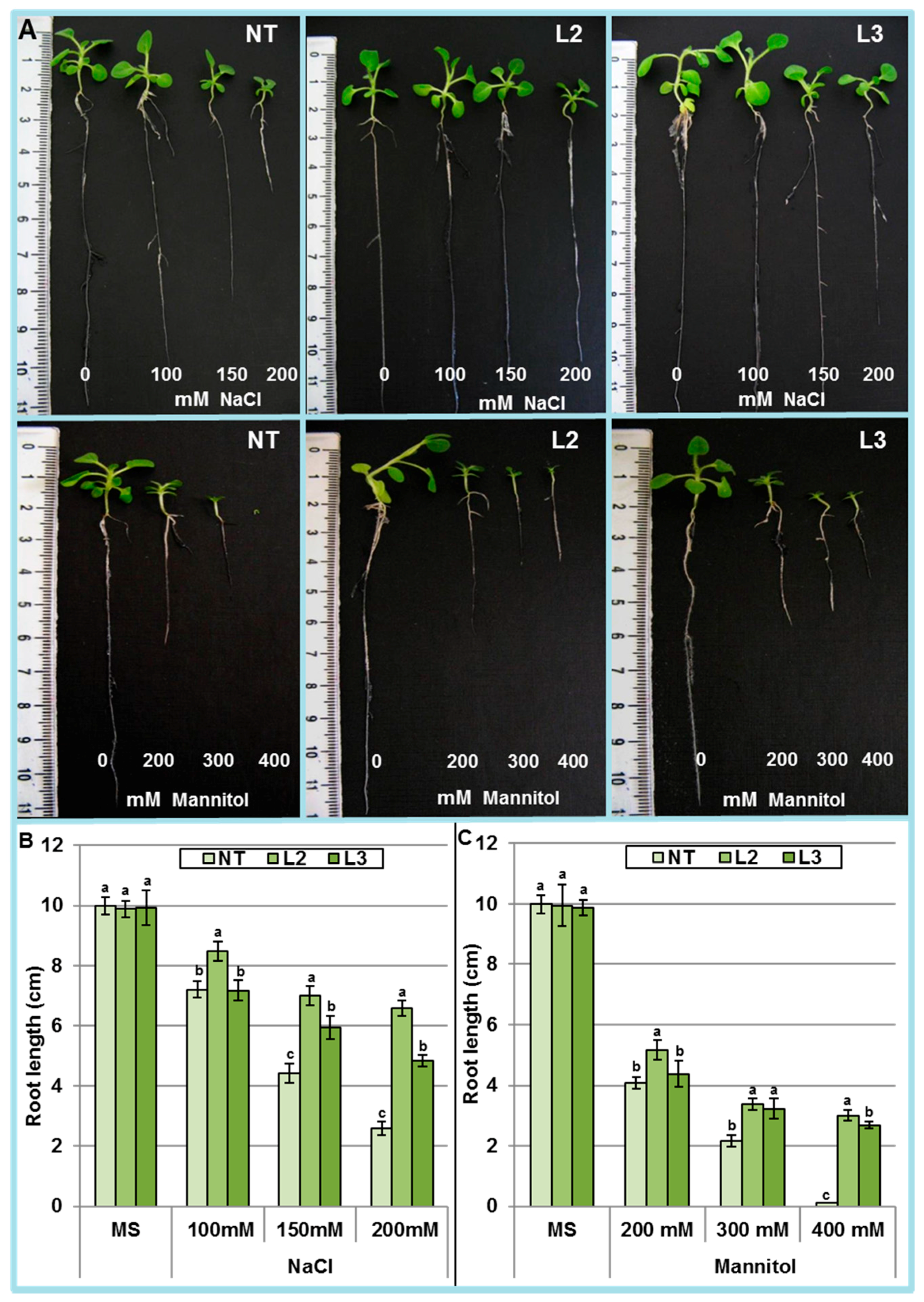 Ijms 18 00692 g007 550