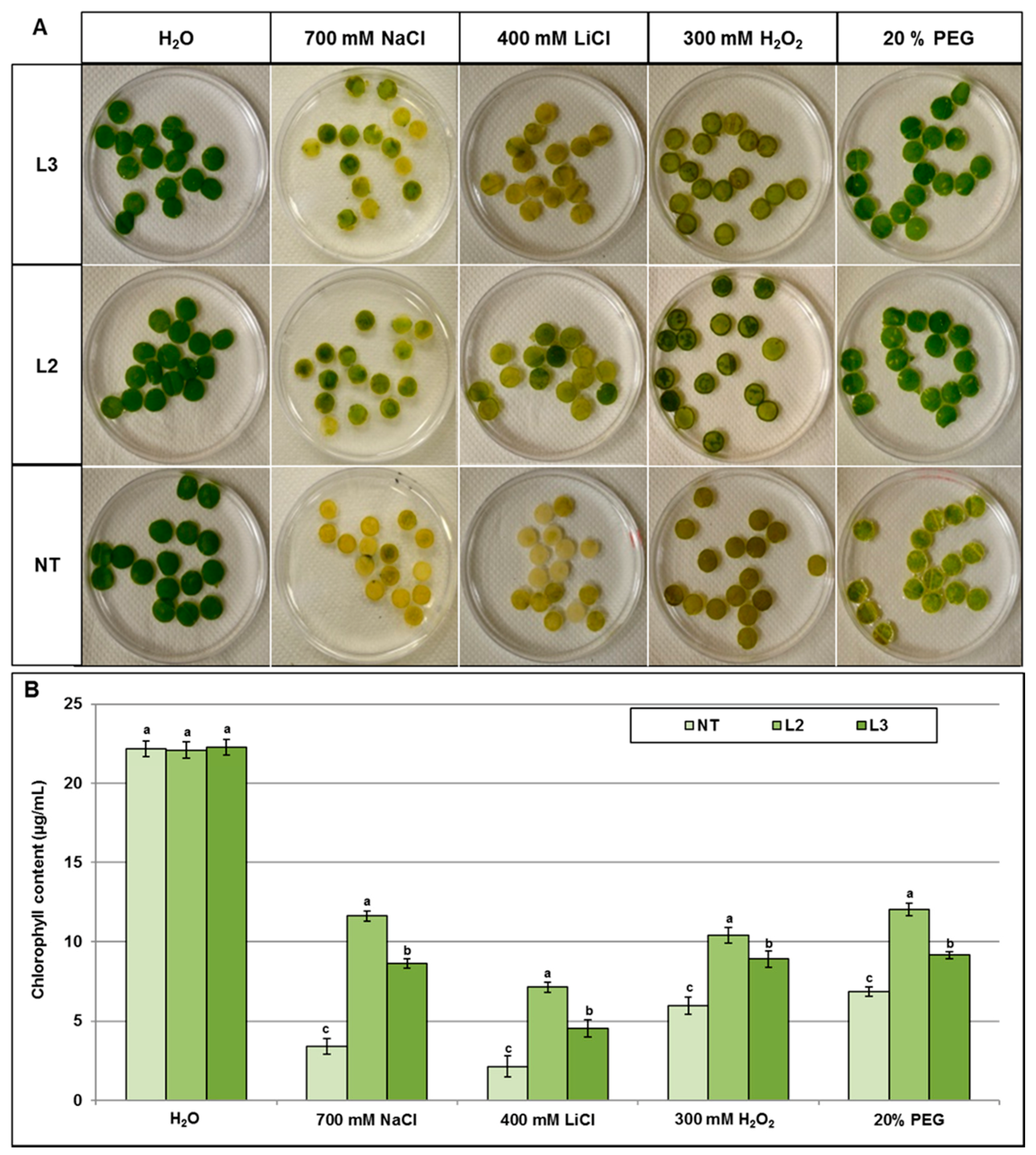 Ijms 18 00692 g009 550