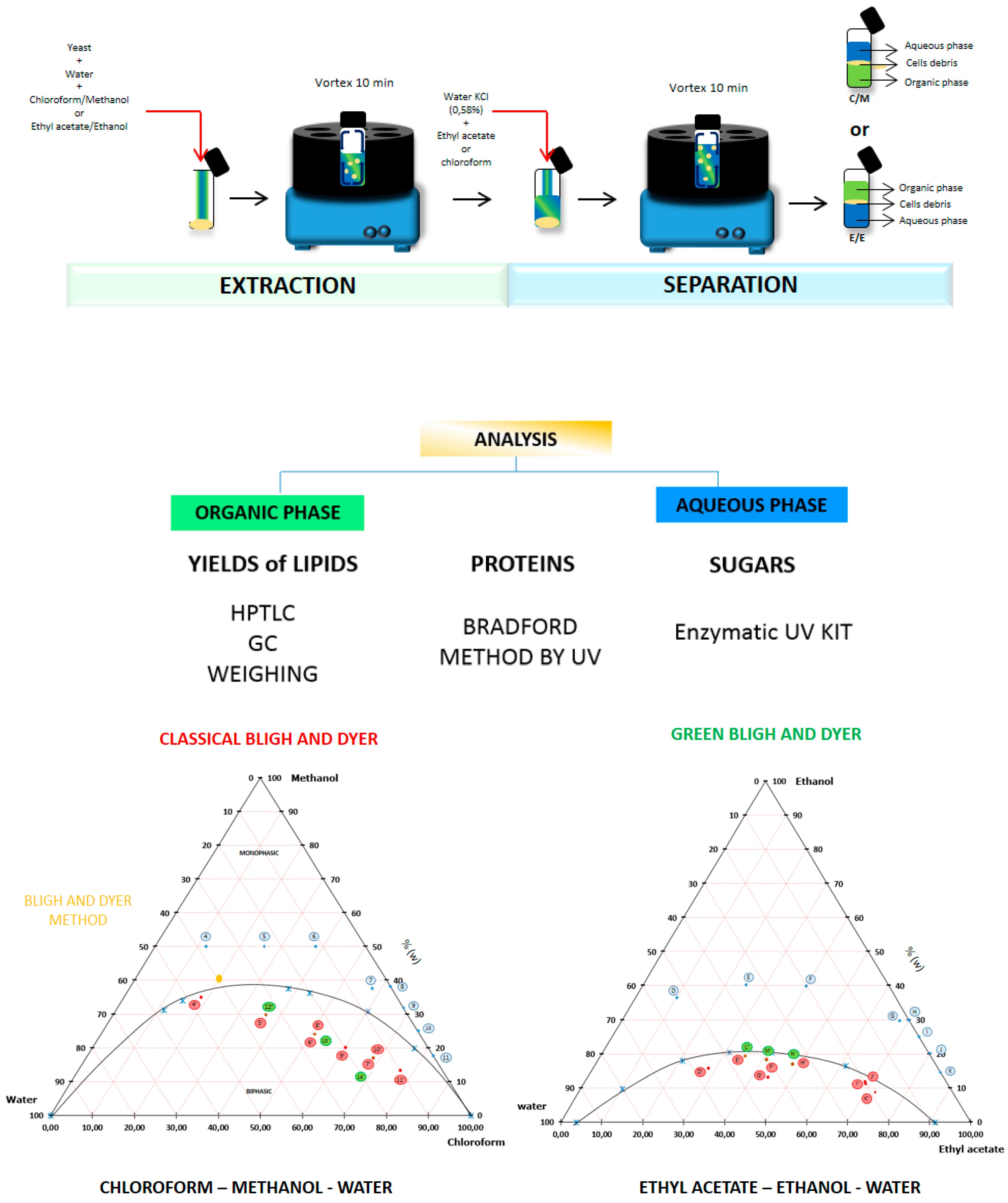 Ijms 18 00708 g007 550