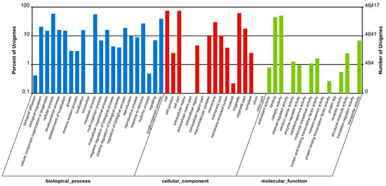 De Novo Assembly, Annotation, and Characterization of Root