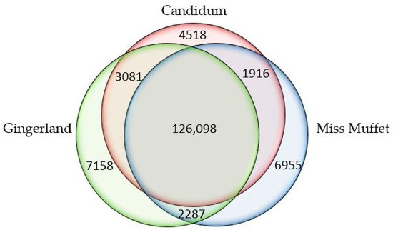 De Novo Assembly, Annotation, and Characterization of Root