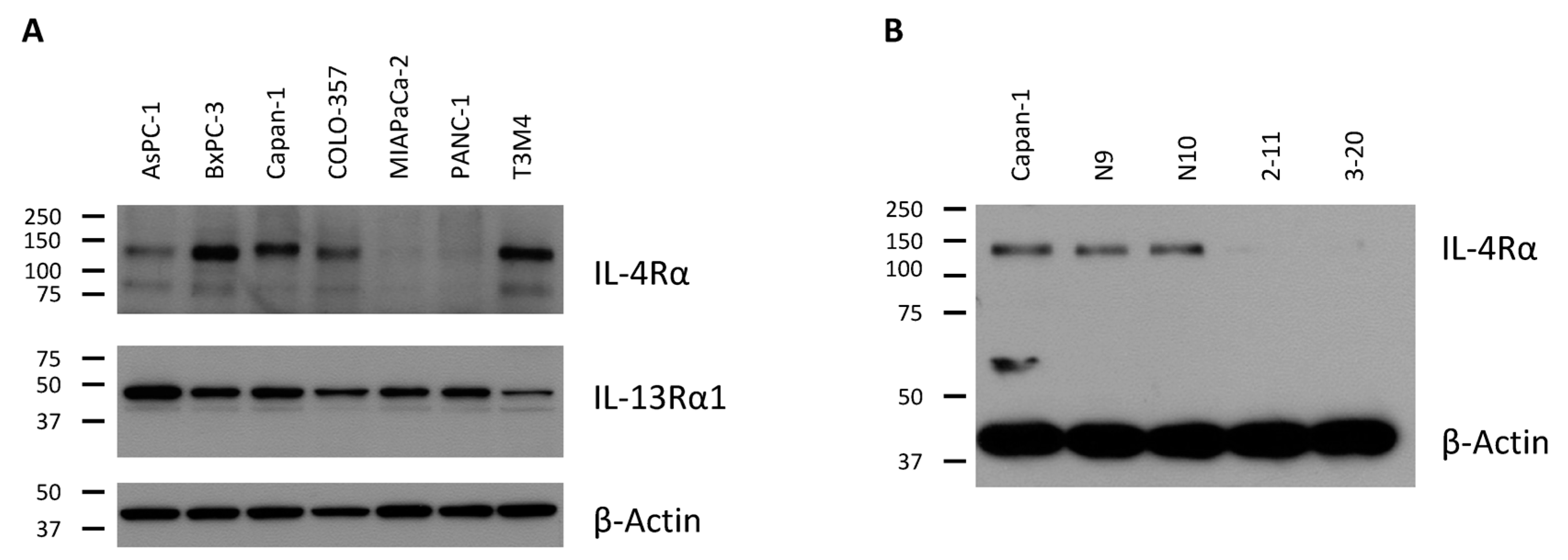 Ijms 18 00716 g001 550