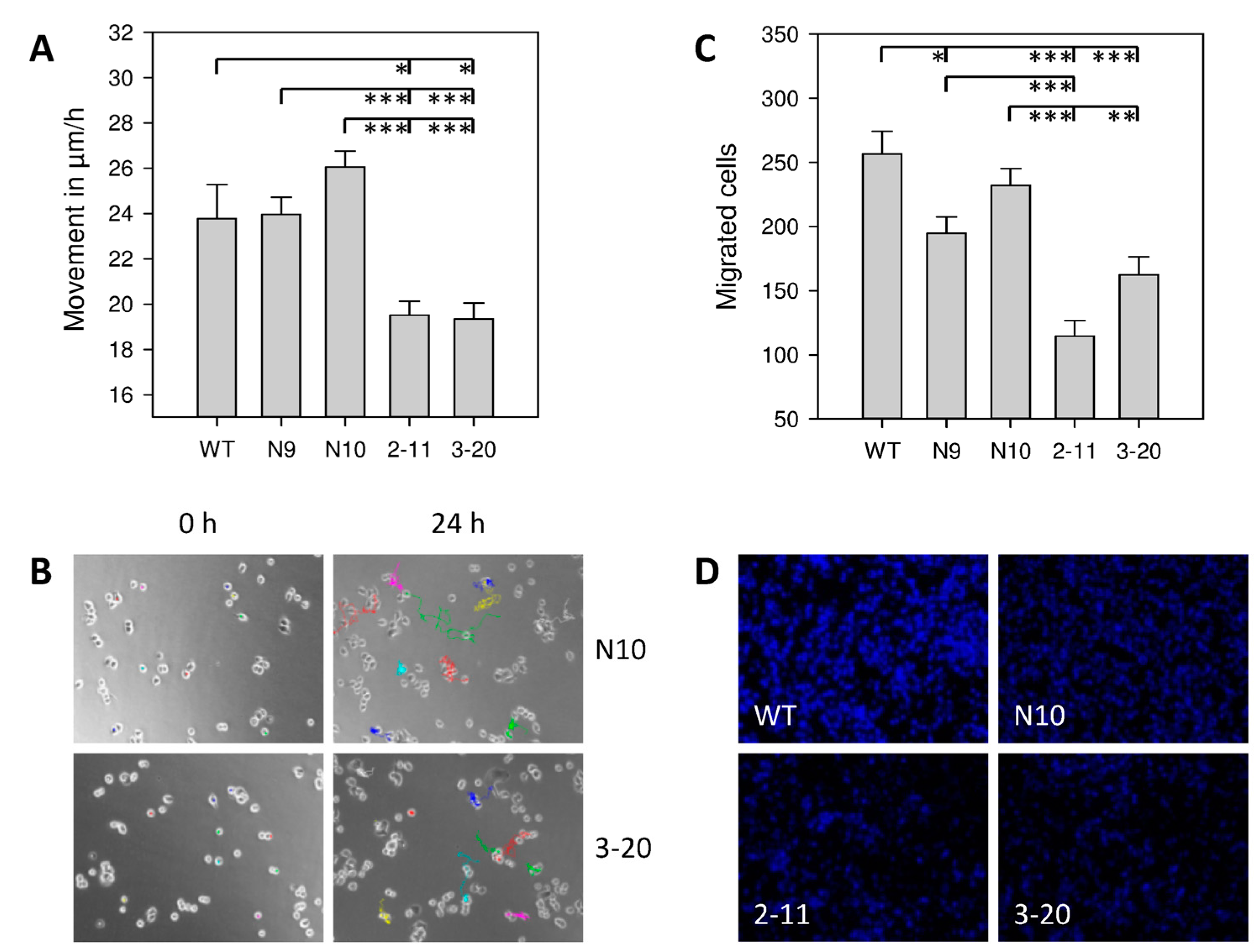 Ijms 18 00716 g003 550