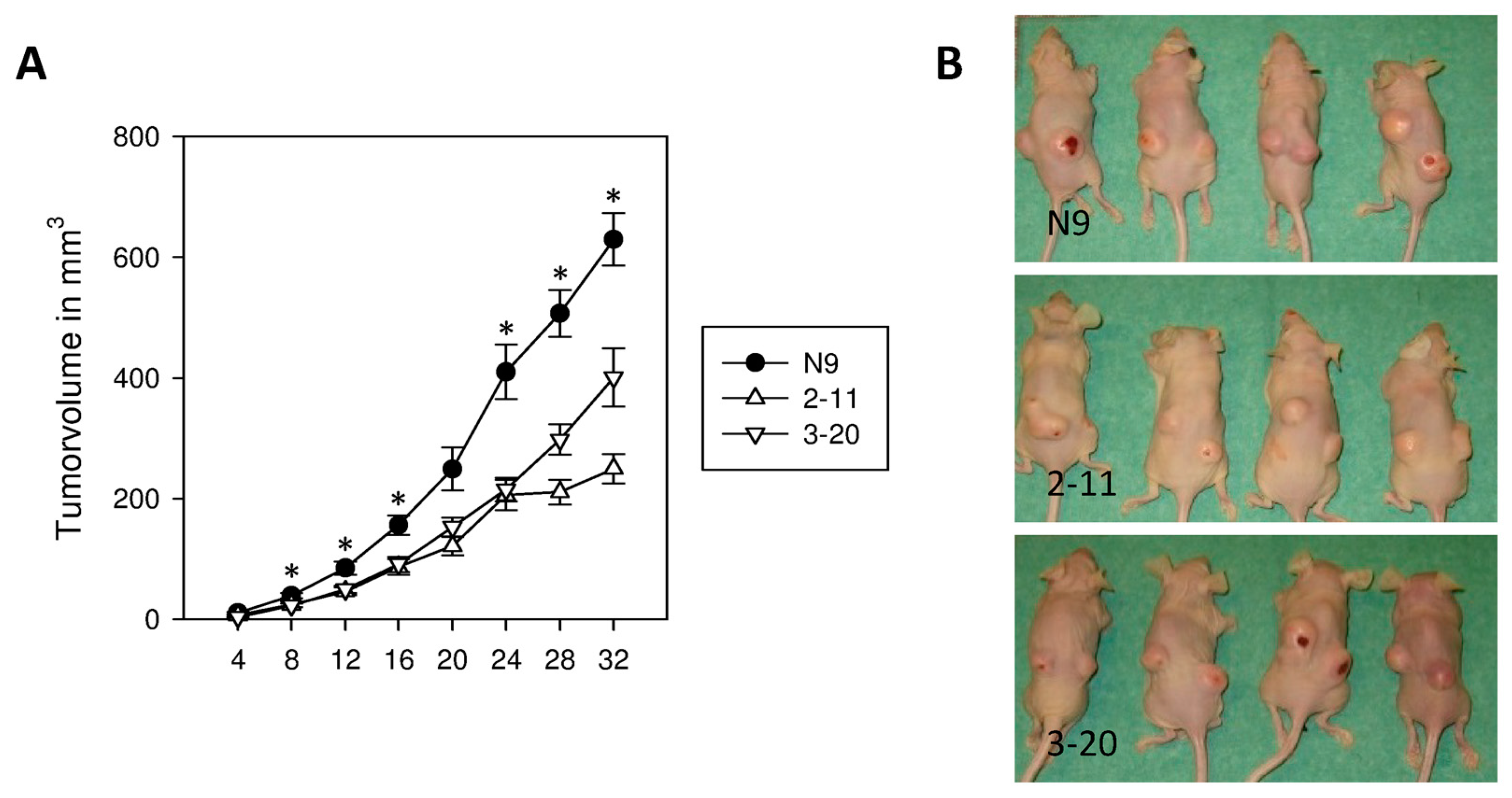 Ijms 18 00716 g006 550