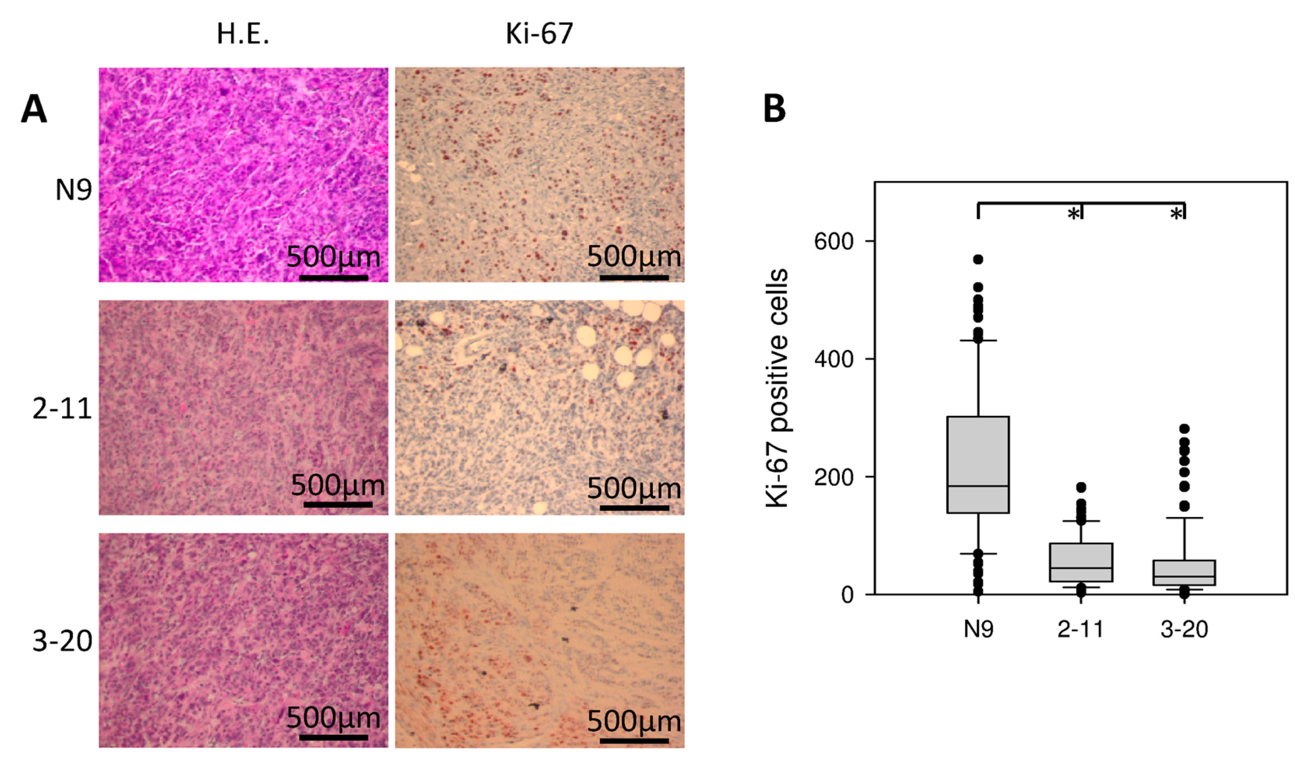 Ijms 18 00716 g007 550