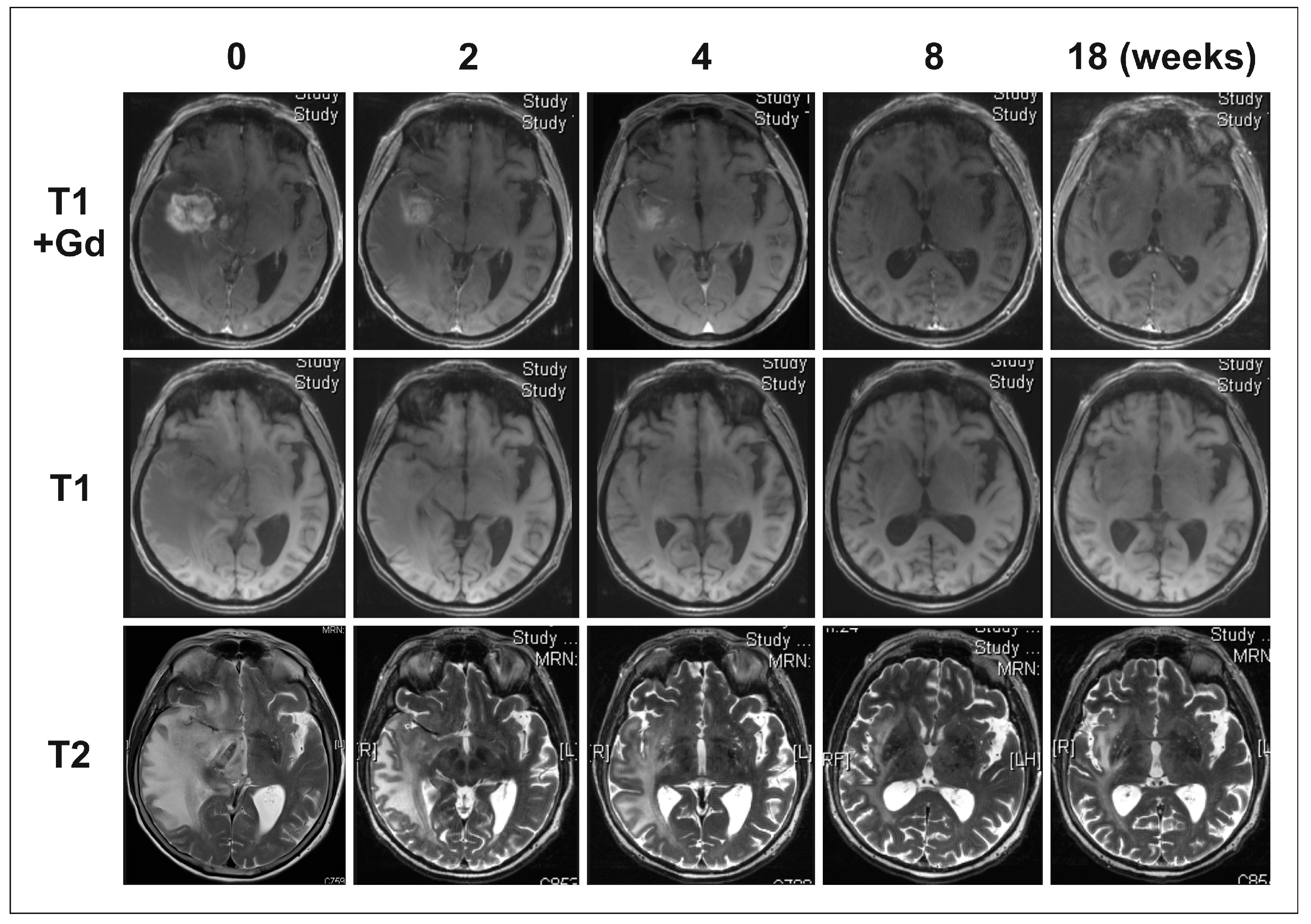 Ijms 18 00726 g001 550