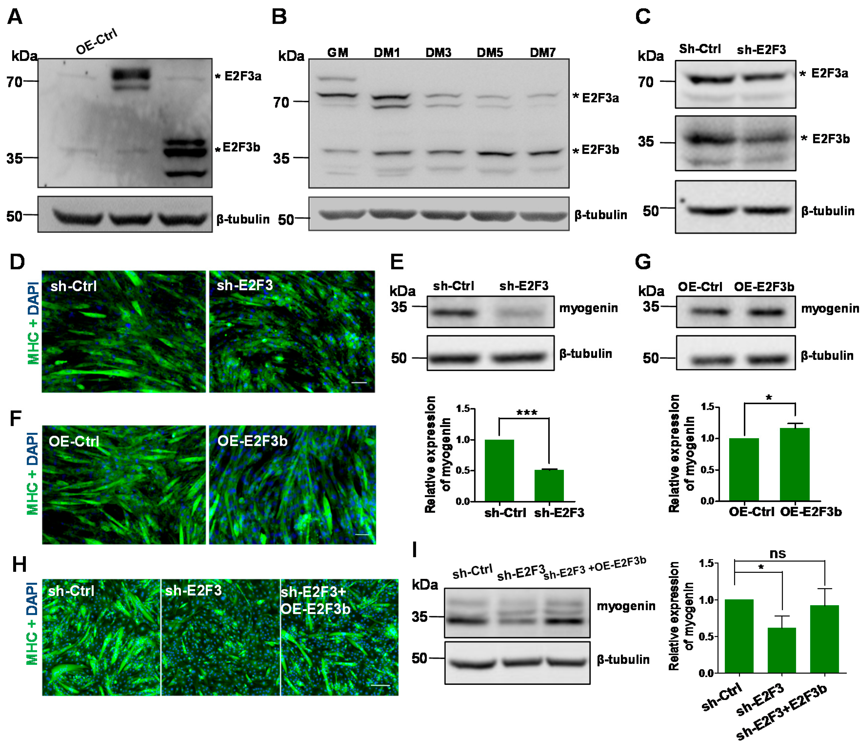 Ijms 18 00727 g001 550