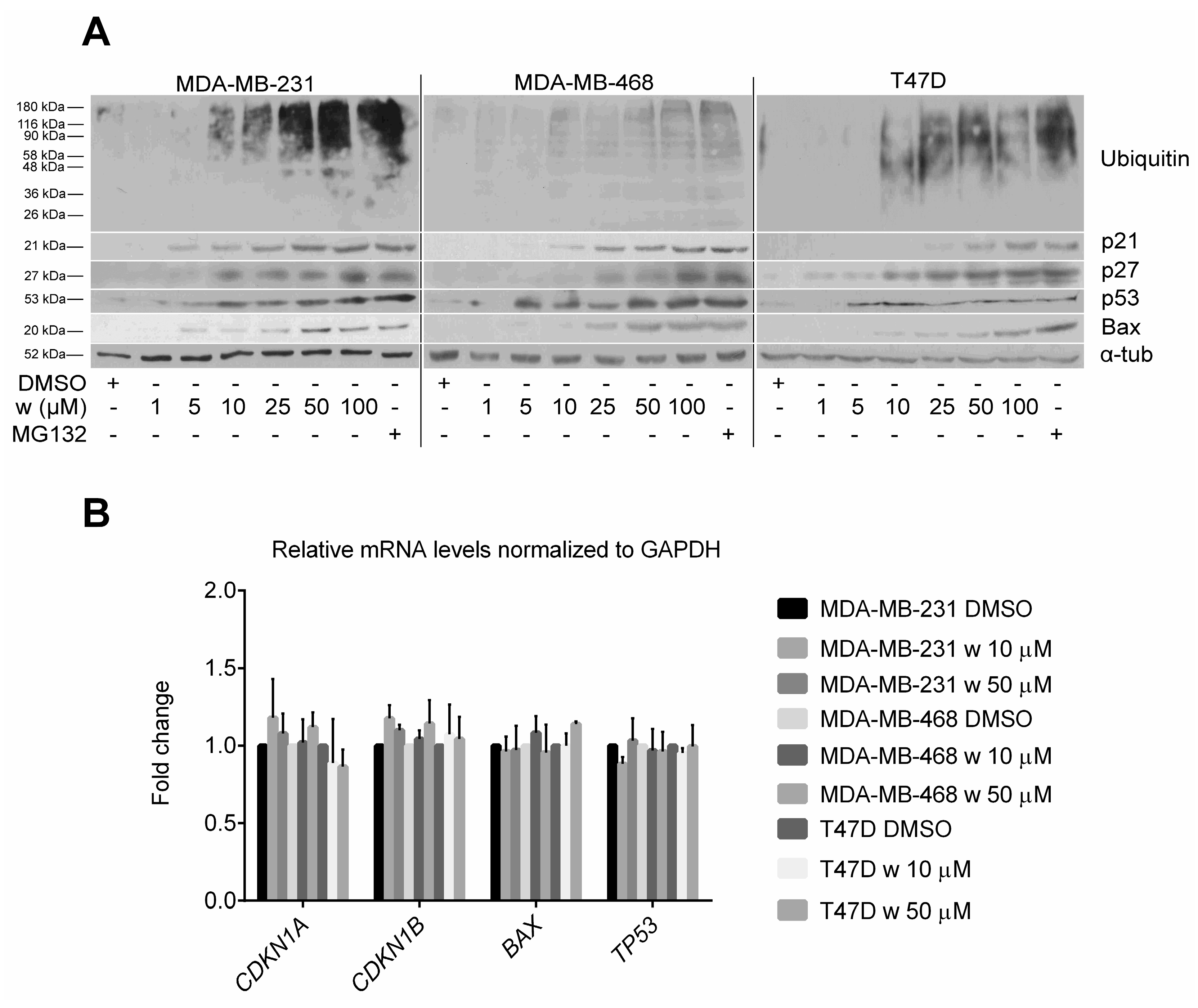 Ijms 18 00729 g003 550