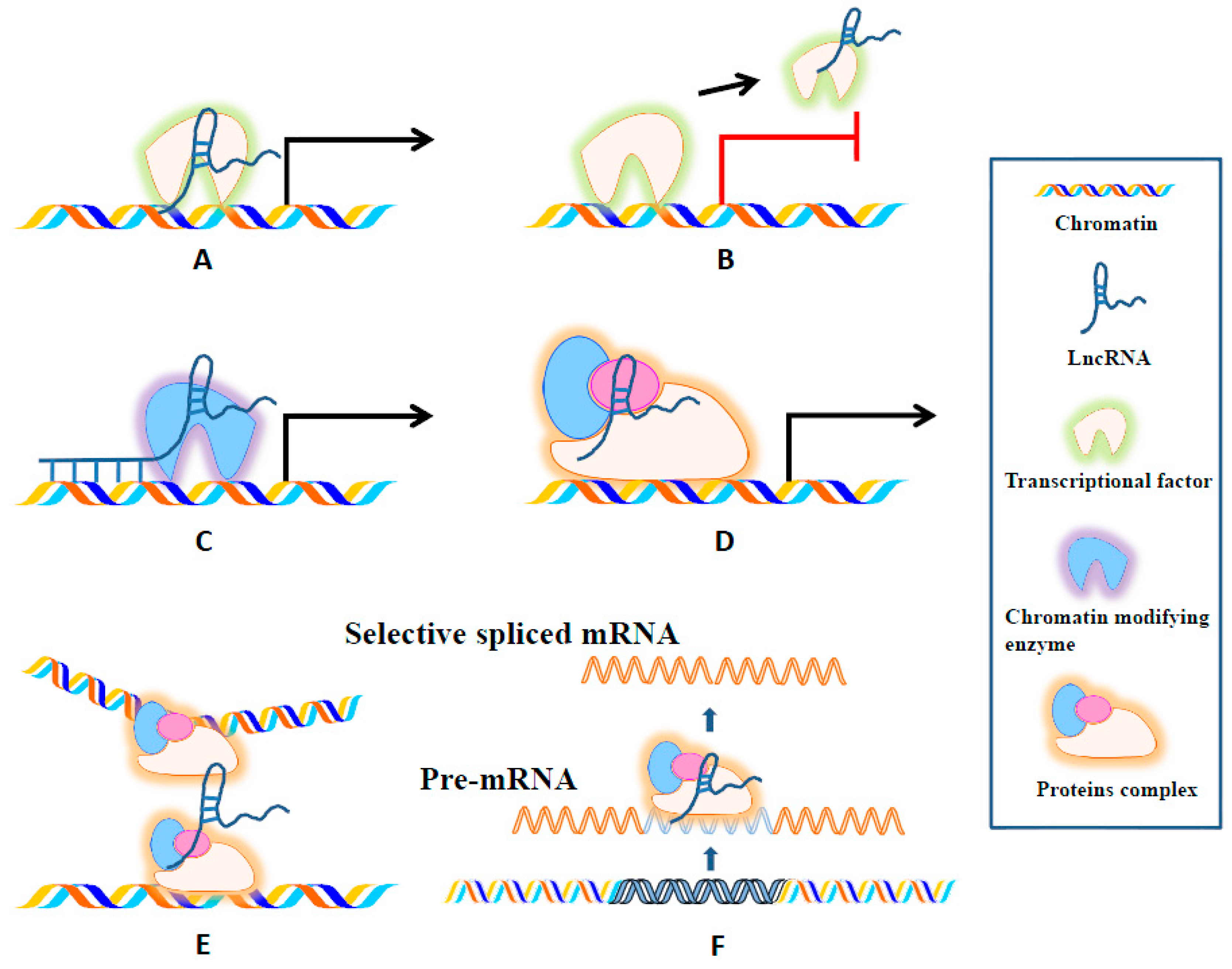 Ijms 18 00731 g002 550