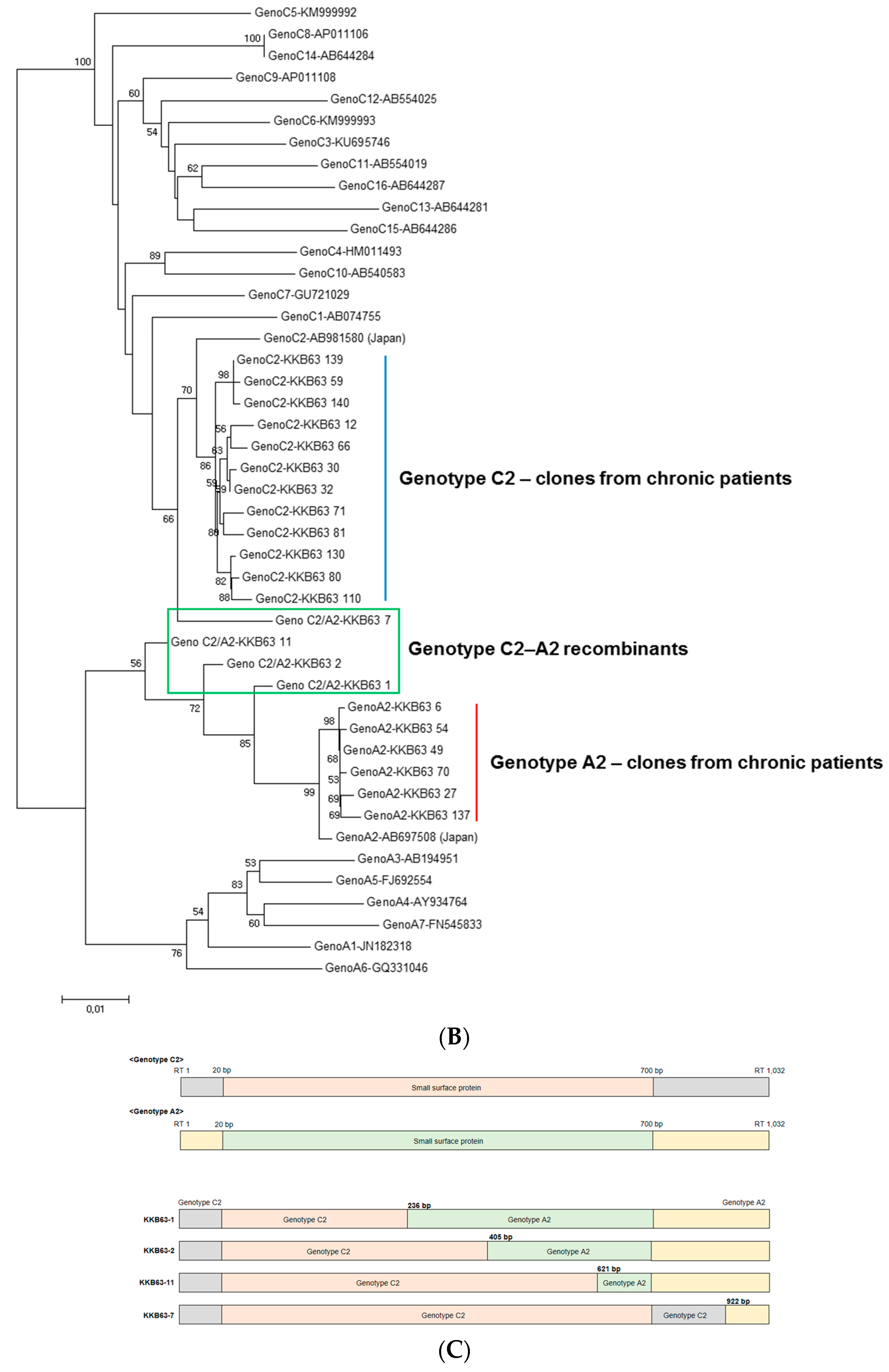 Ijms 18 00737 g001b 550