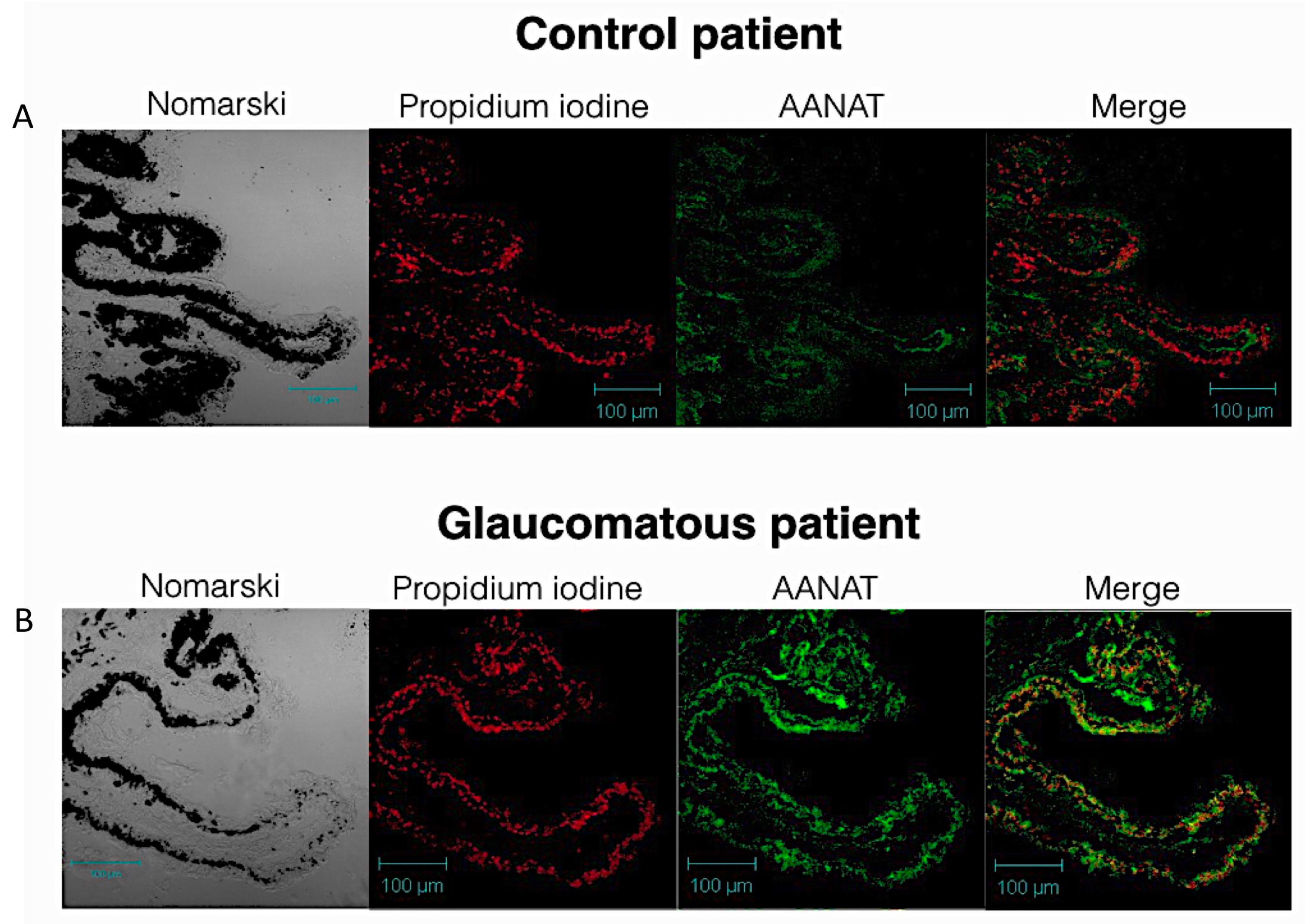 Ijms 18 00746 g001 550