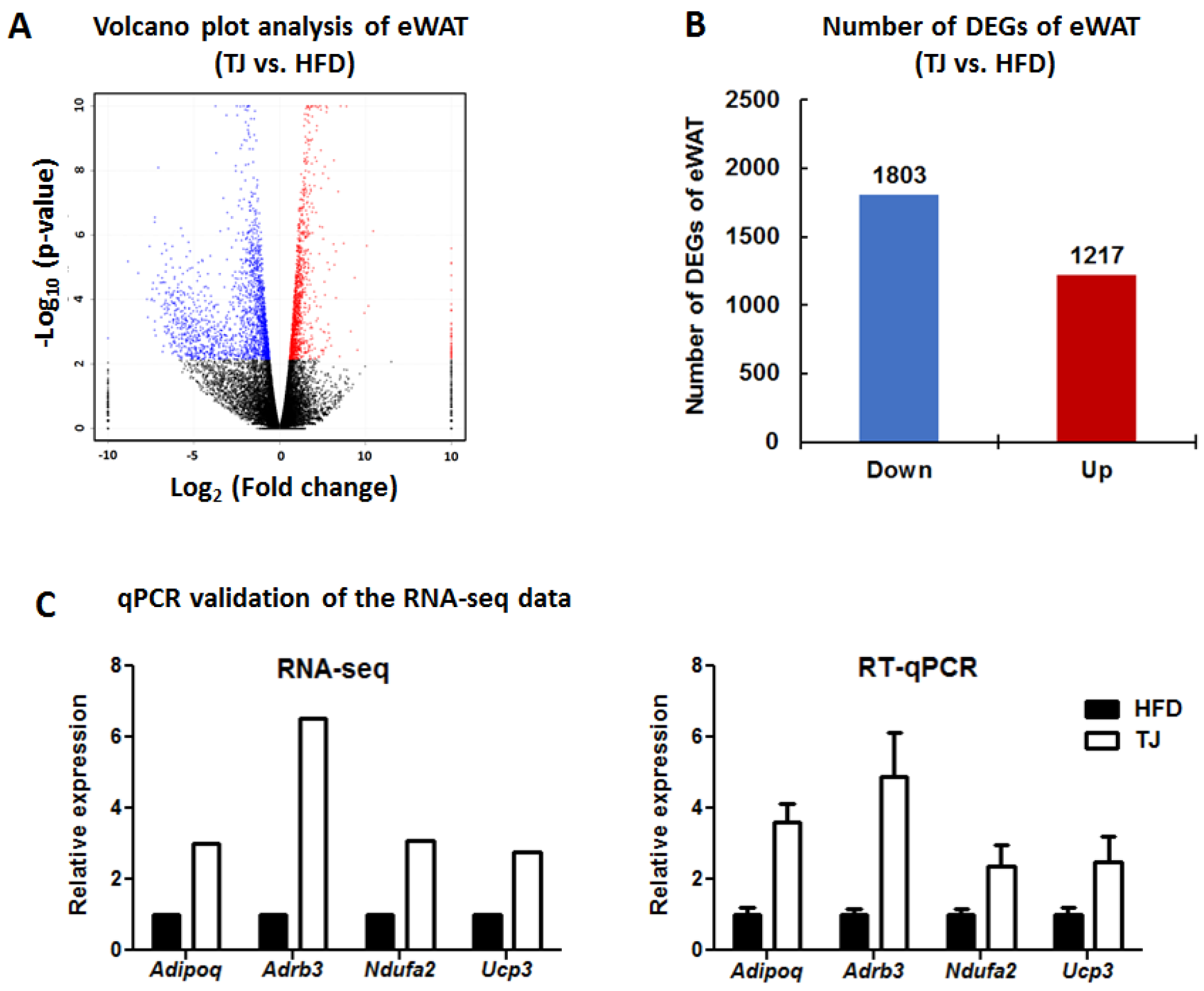 Ijms 18 00747 g006 550