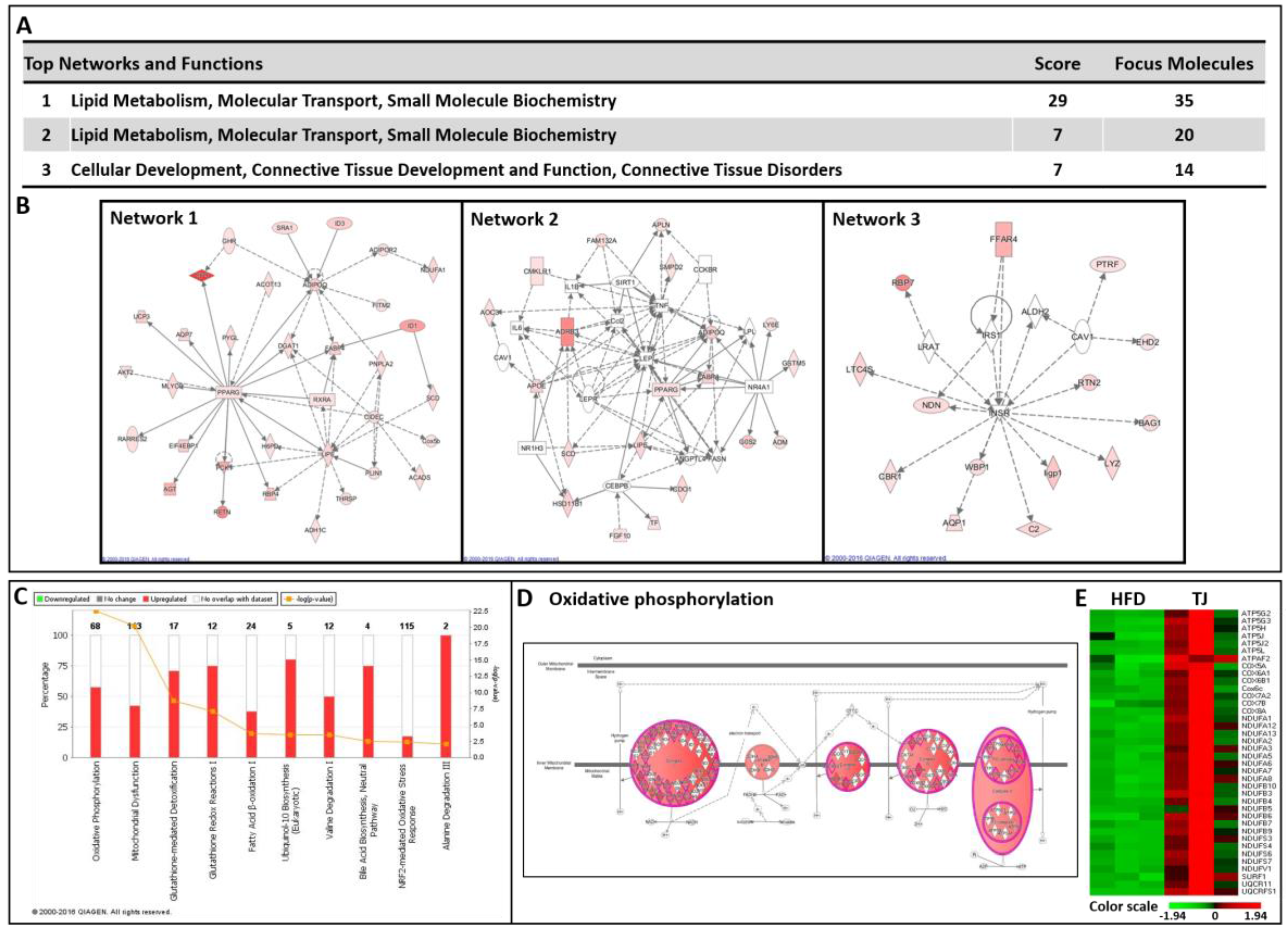 Ijms 18 00747 g007 550