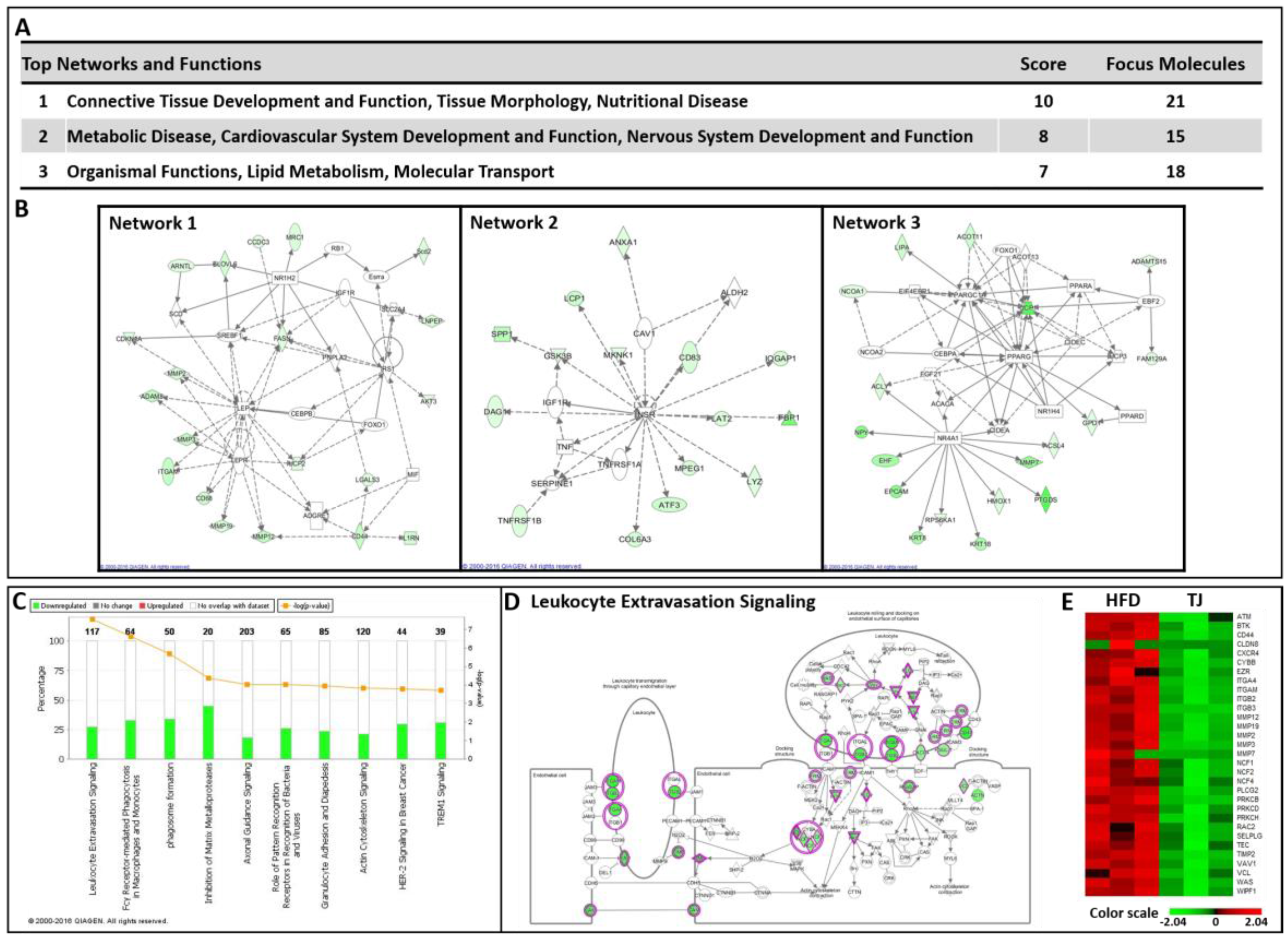 Ijms 18 00747 g008 550