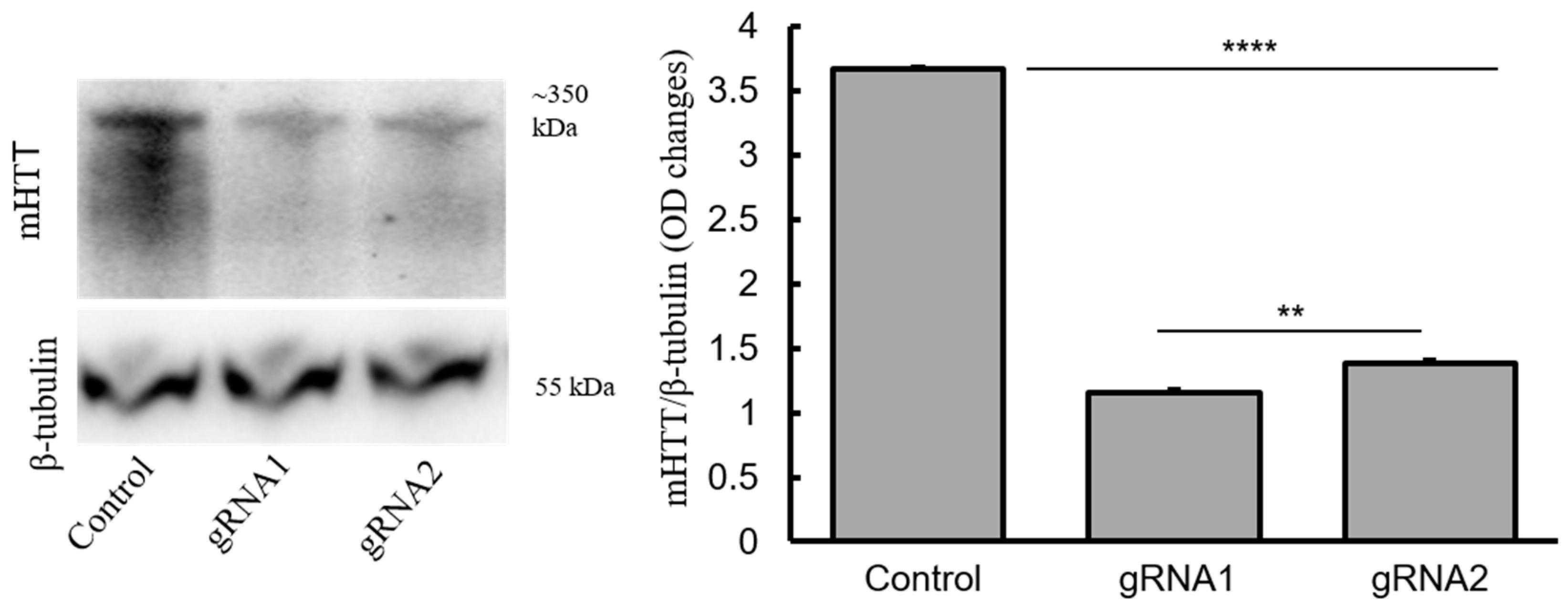 Ijms 18 00754 g006 550