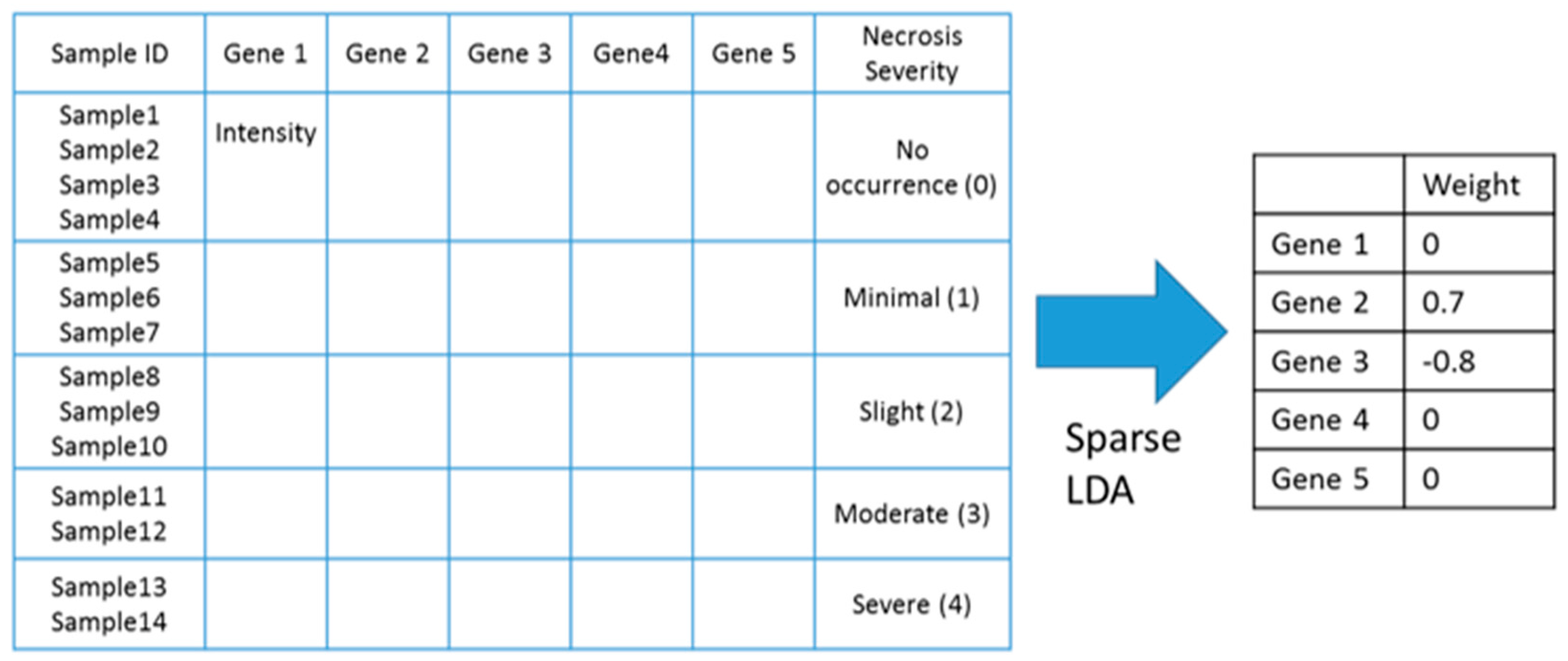 Ijms 18 00755 g011 550