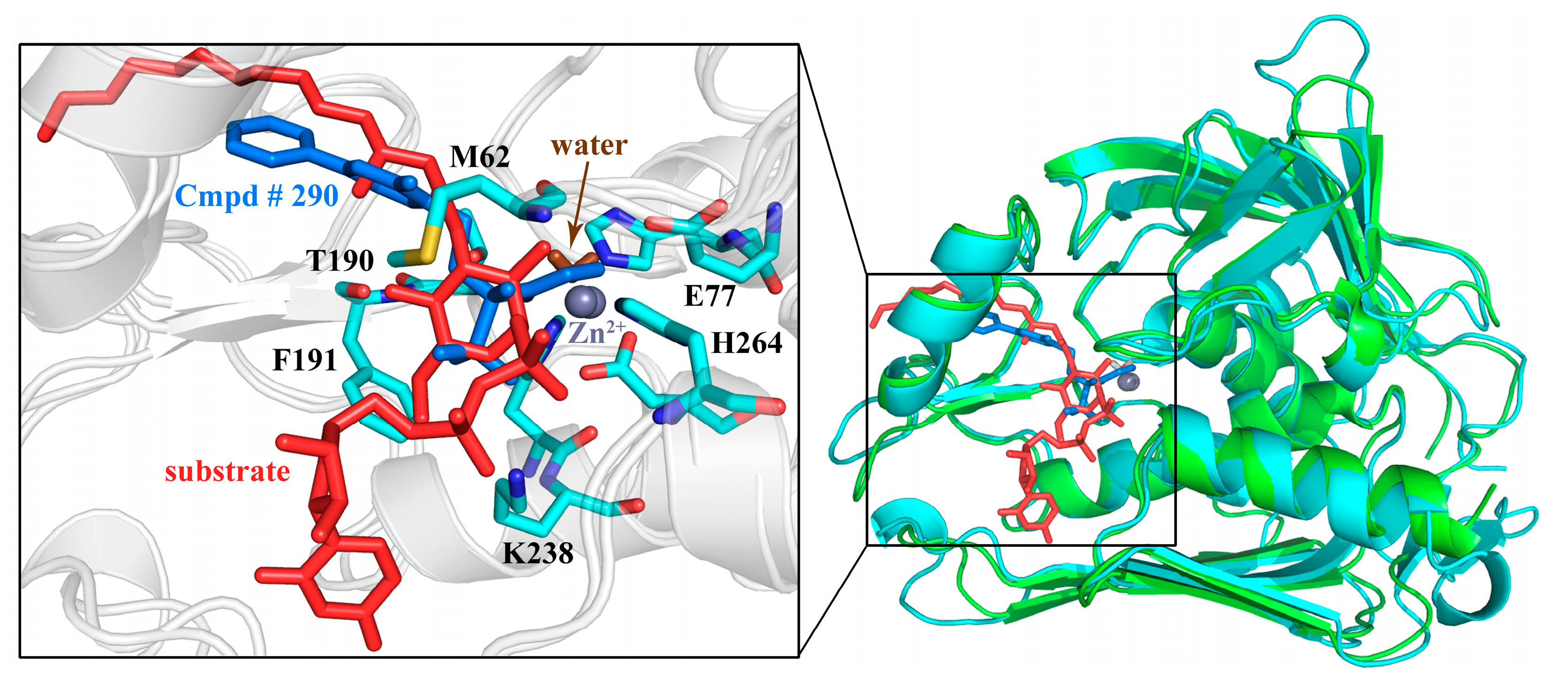 Ijms 18 00761 g010 550