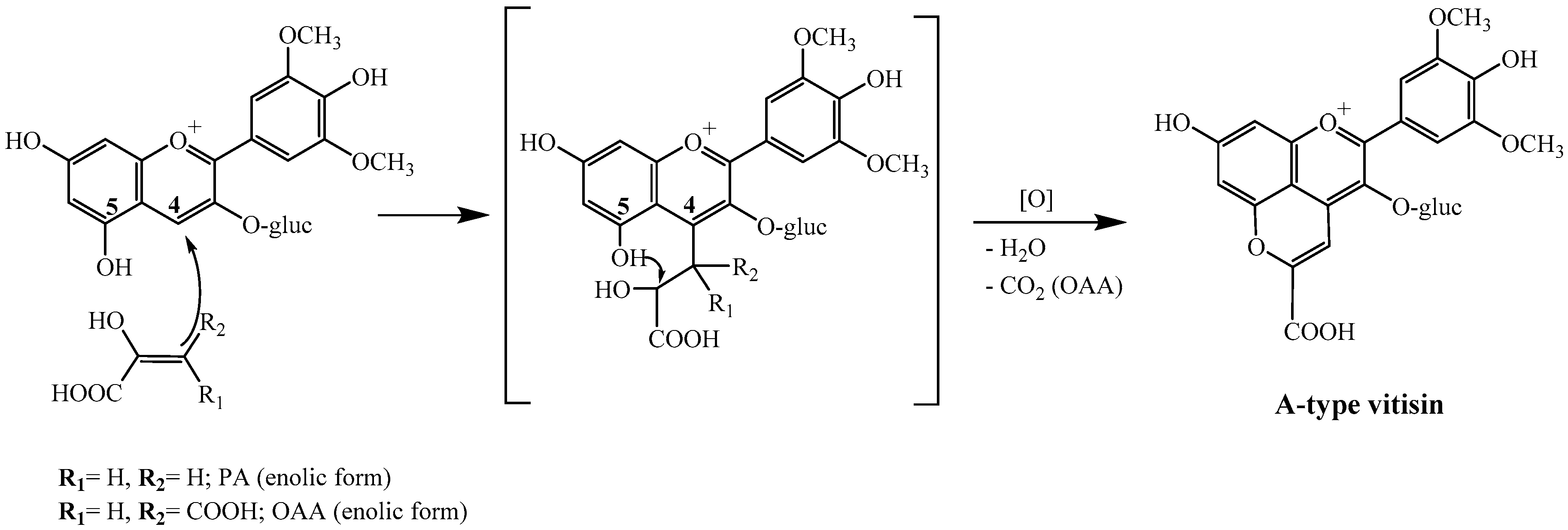 Ijms 18 00762 g001 550