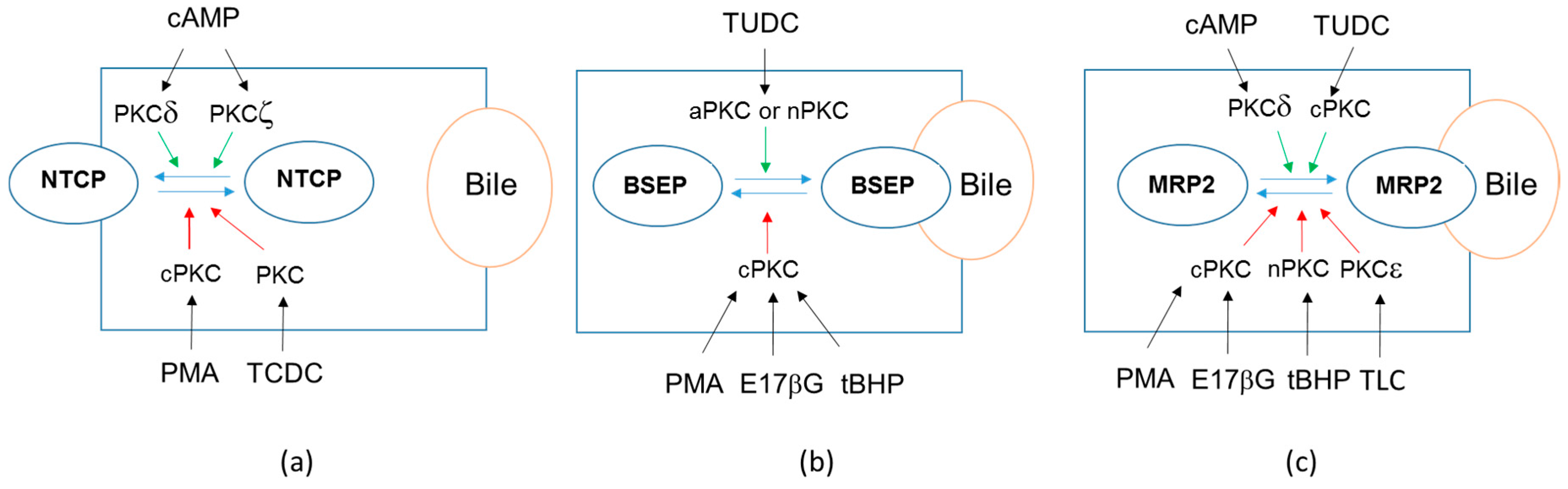 Ijms 18 00764 g003