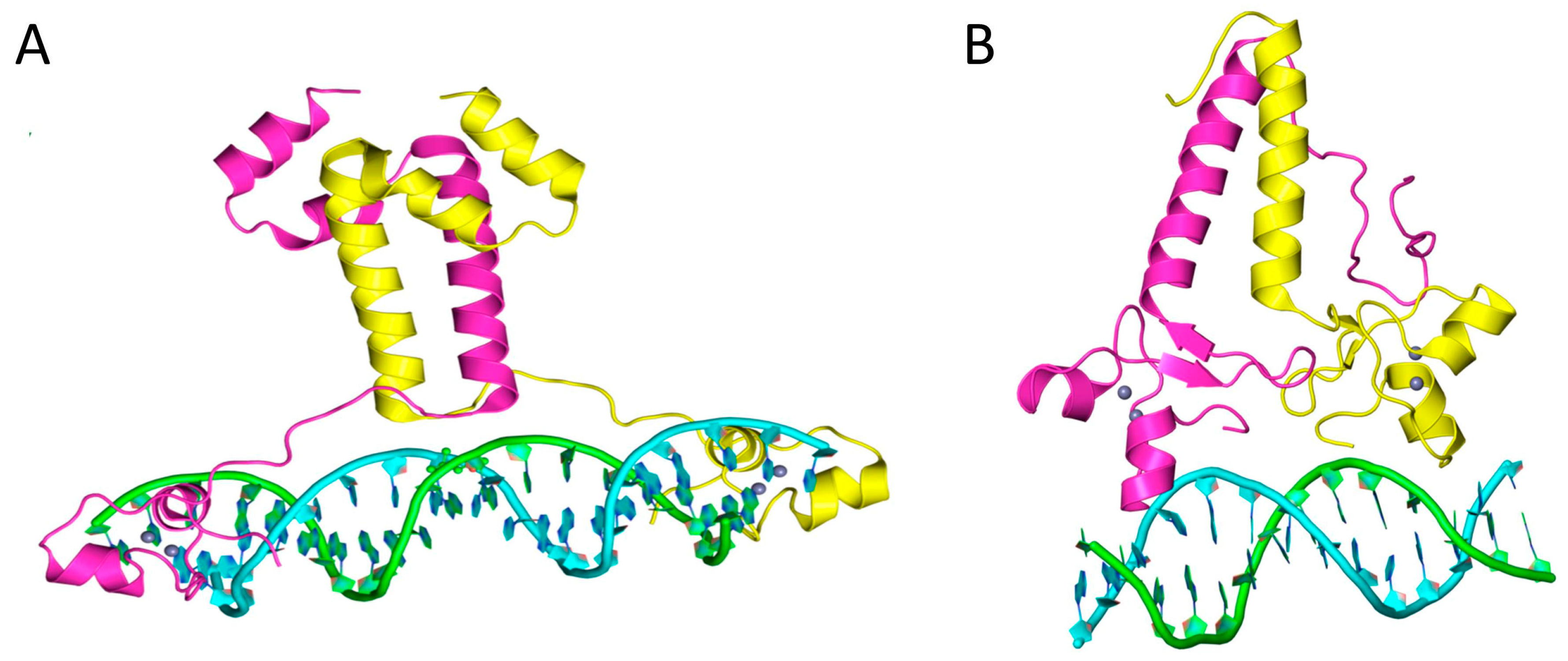 From Lipid Homeostasis to Differentiation: Old and New