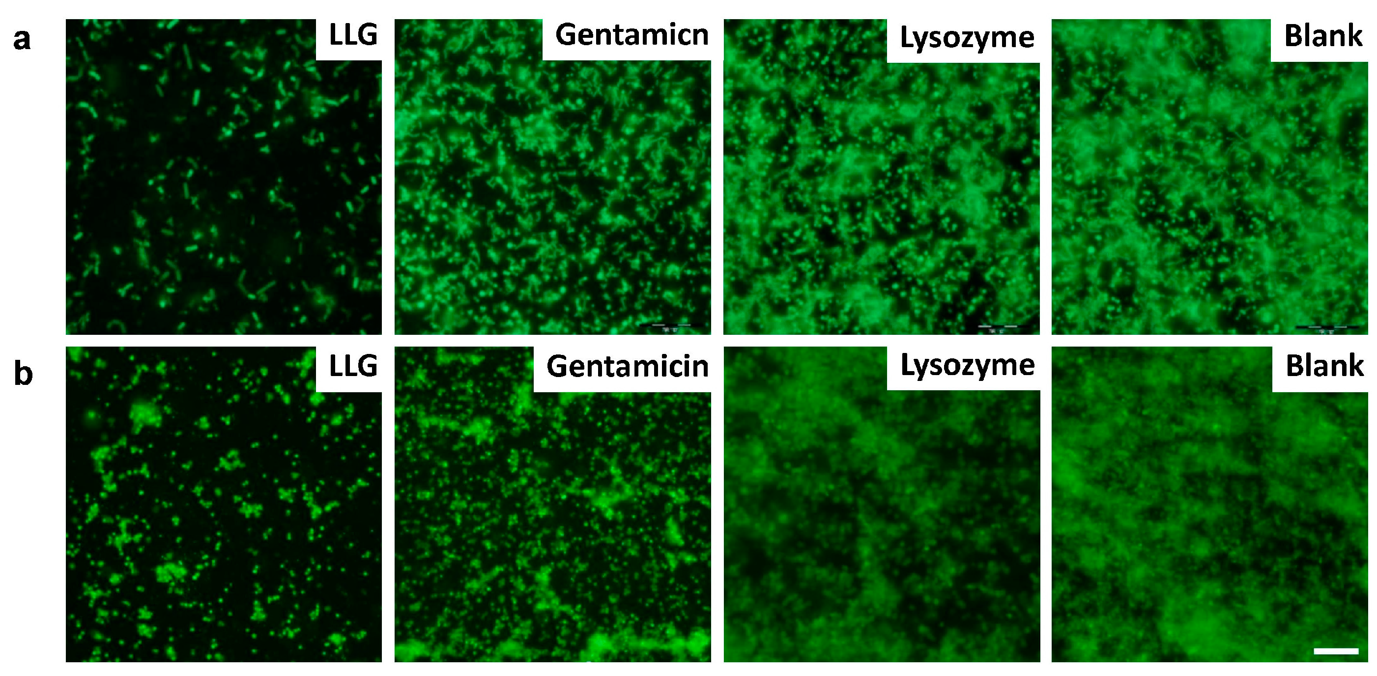 Ijms 18 00784 g004 550