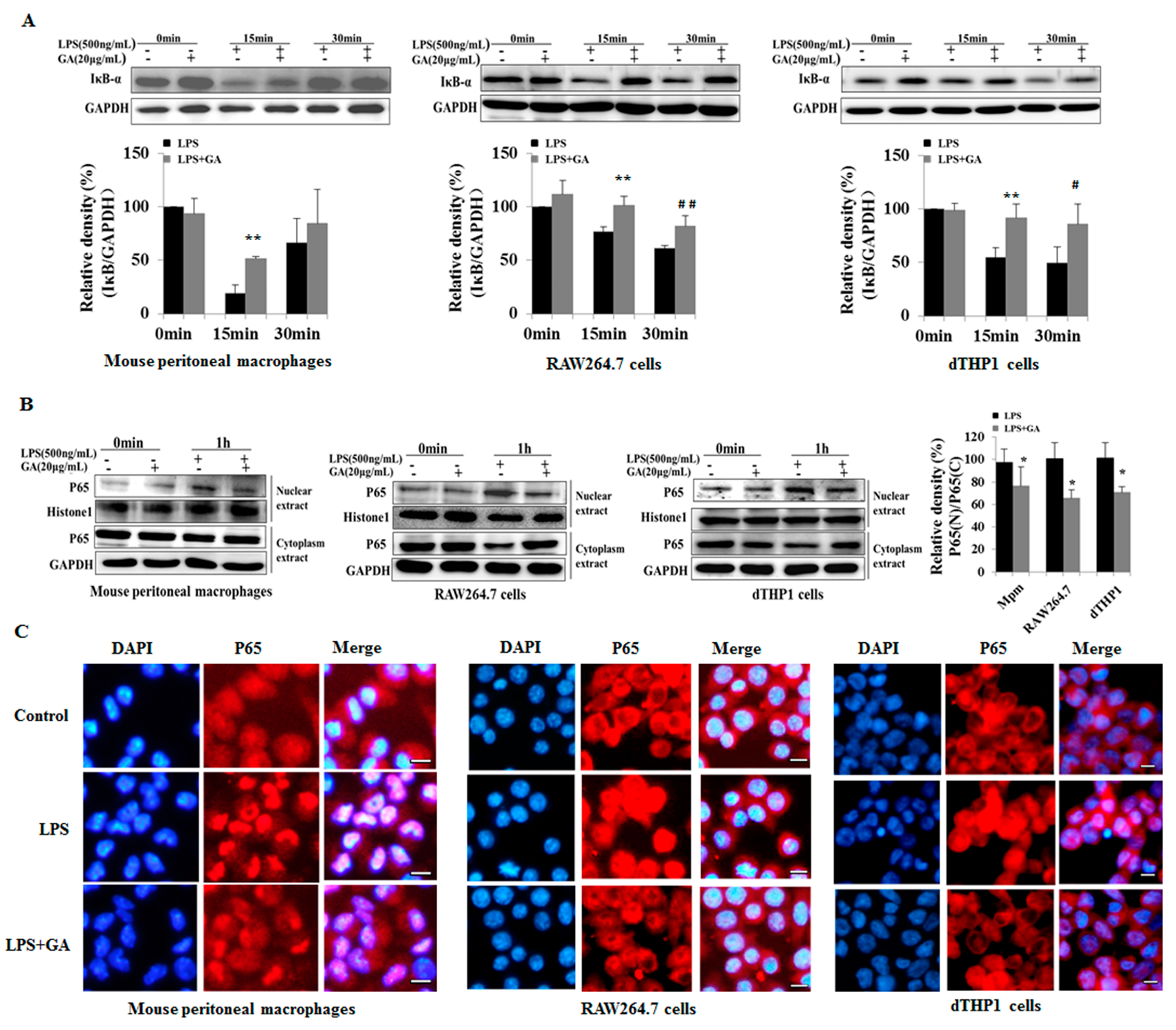 Ijms 18 00794 g003 550