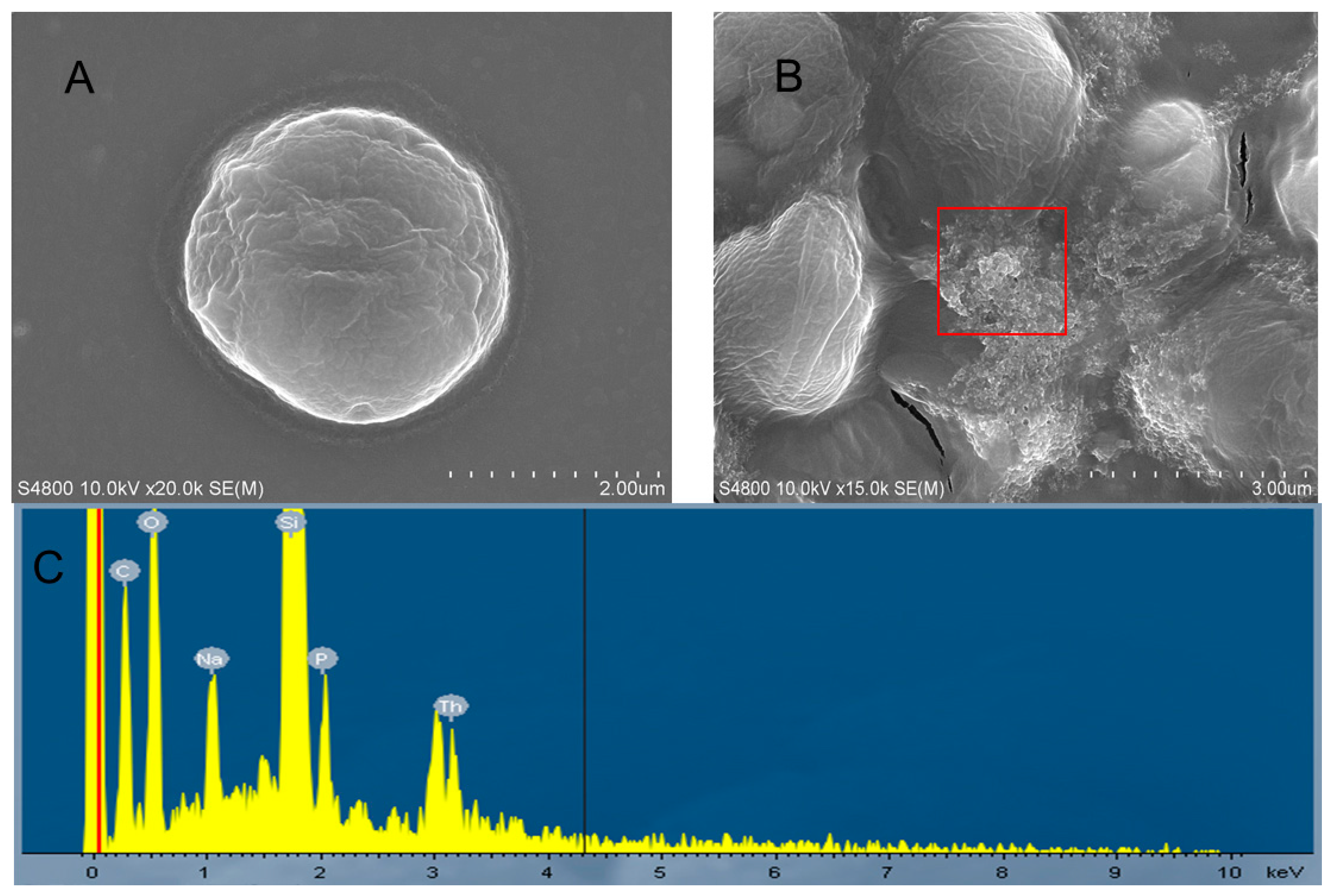 Ijms 18 00795 g004 550