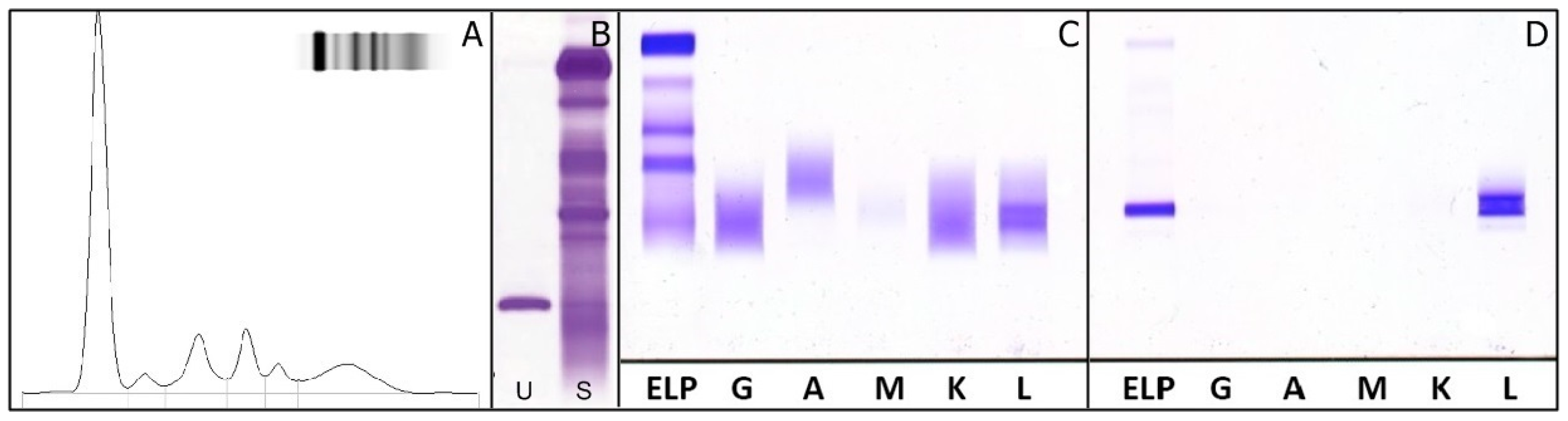 Ijms 18 00804 g001 550