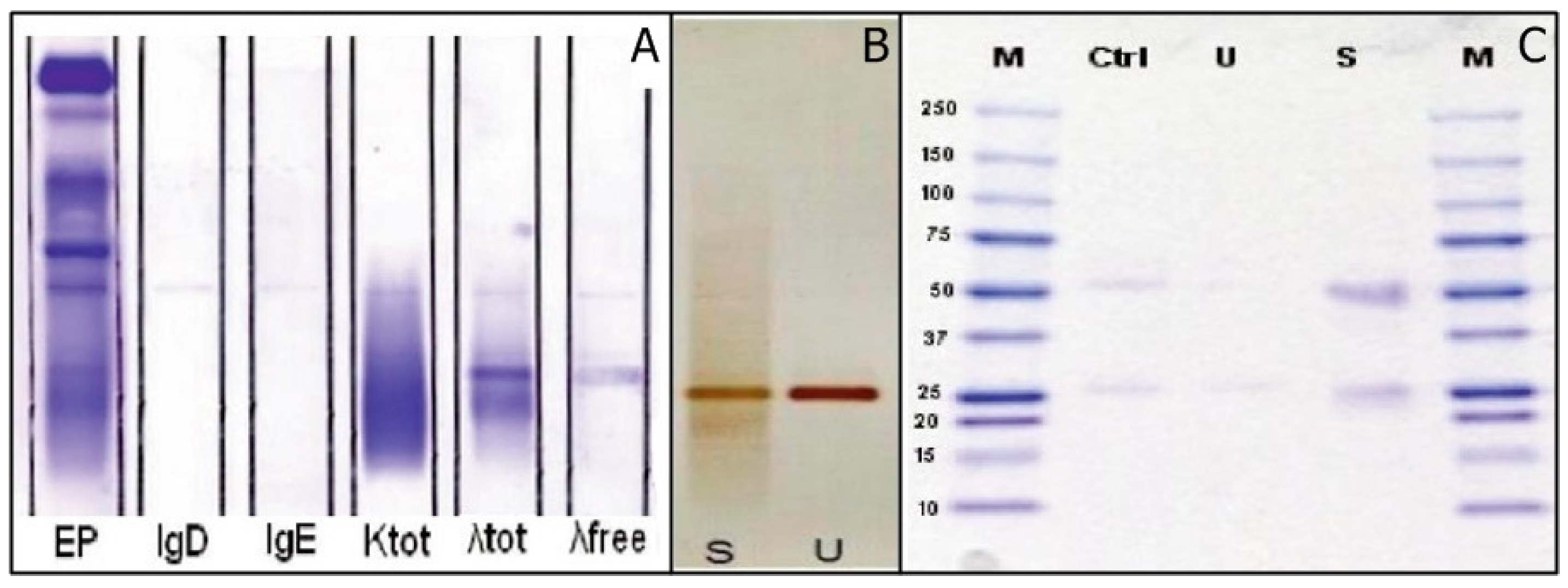 Ijms 18 00804 g002 550