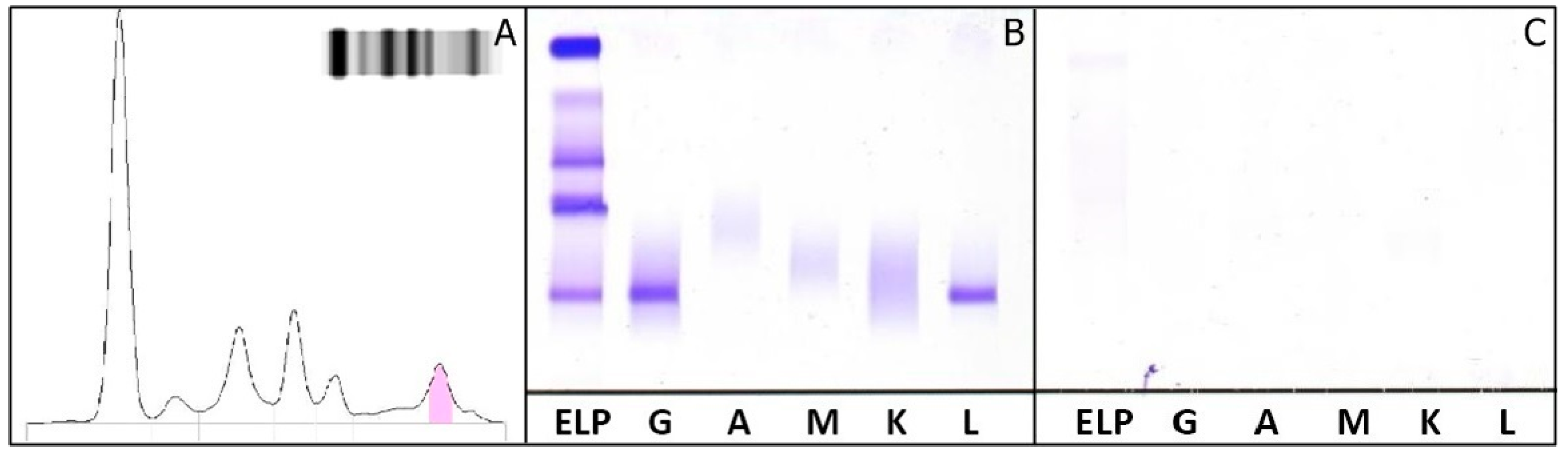 Ijms 18 00804 g003 550